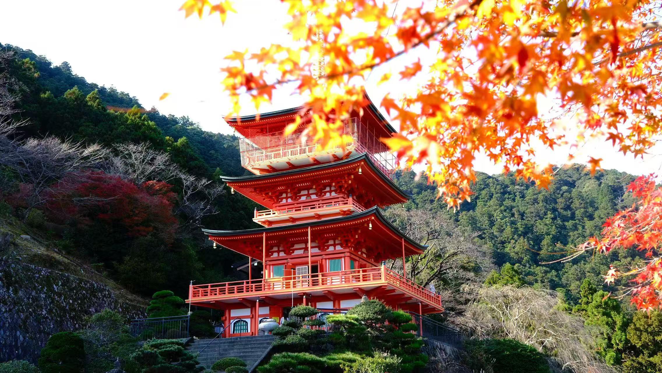 Seiganto-ji three-story pagoda framed by autumn leaves