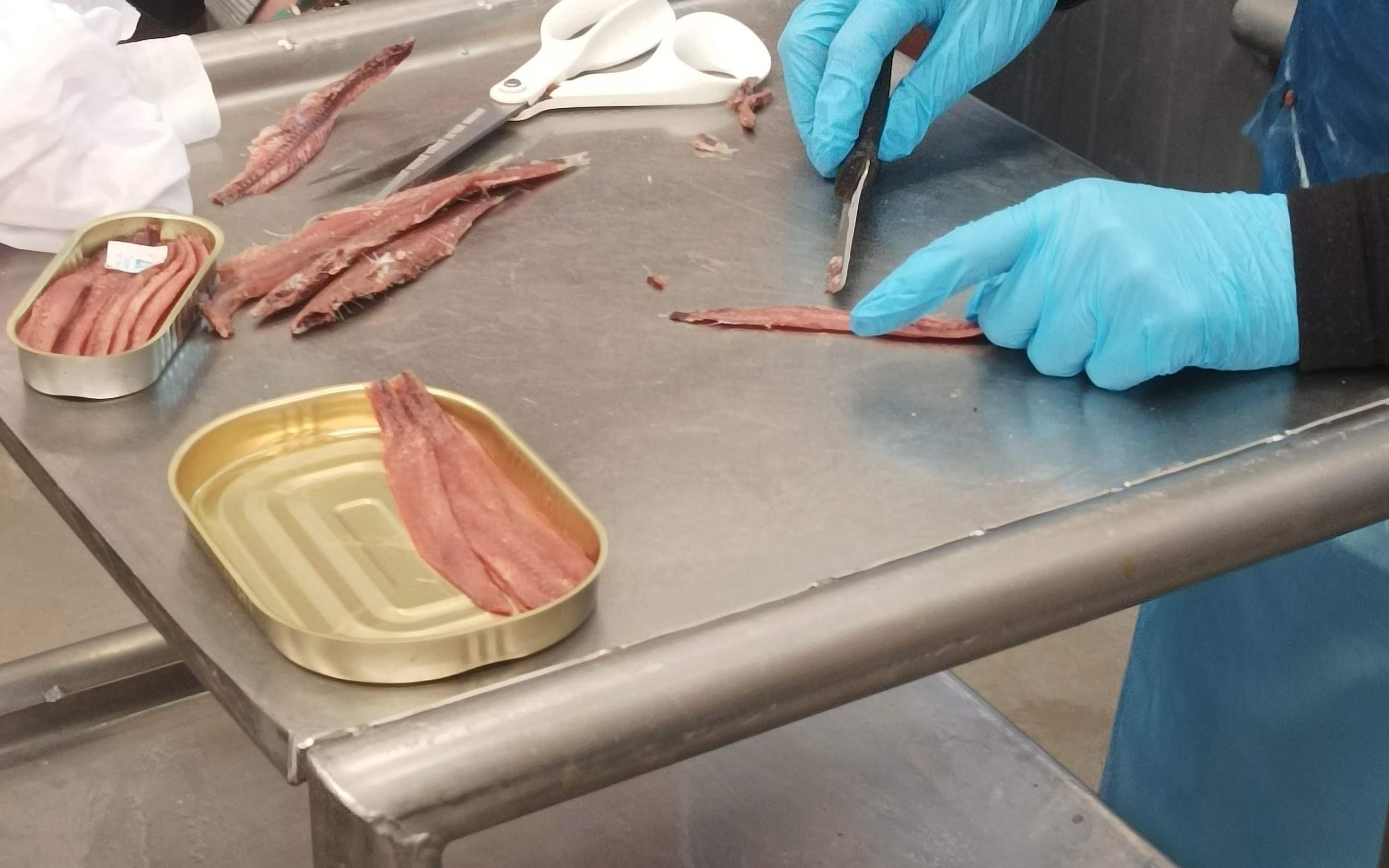 Santoña Marshes and Anchovy Canning Factory Experience