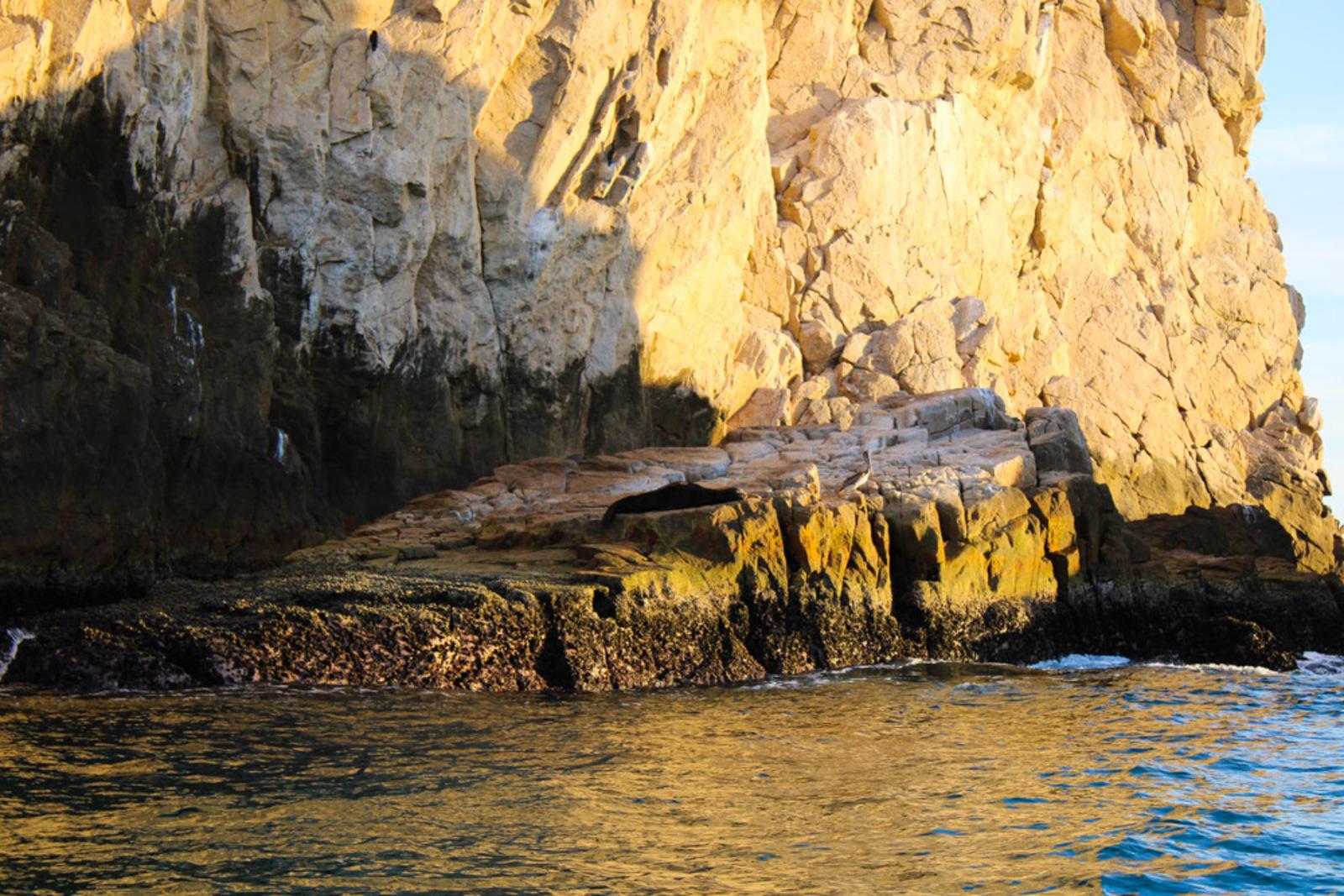 Cabo San Lucas Sunset Cruise