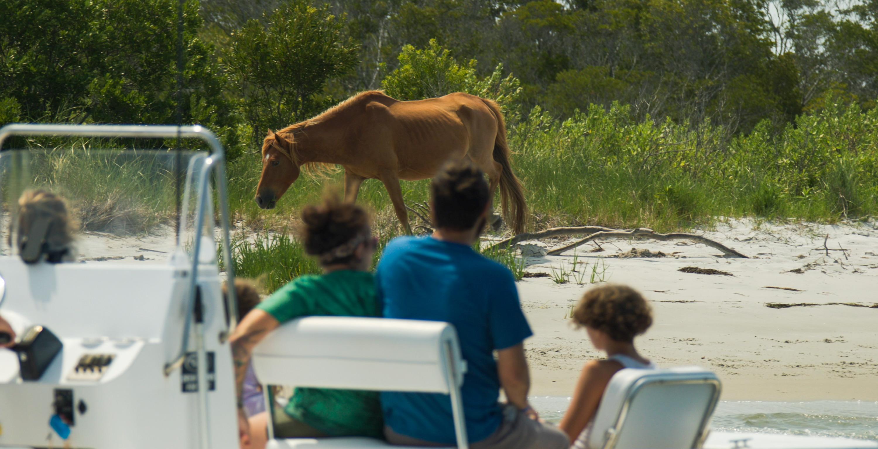 Private Assateague Island Sunset Skiff Cruise