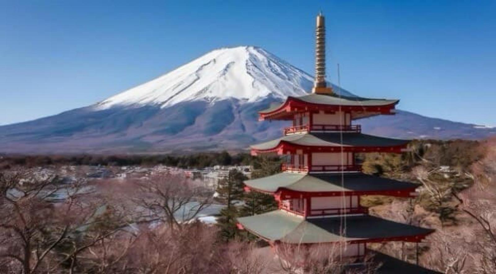 Private Mount Fuji & Hakone Guided Day Tour