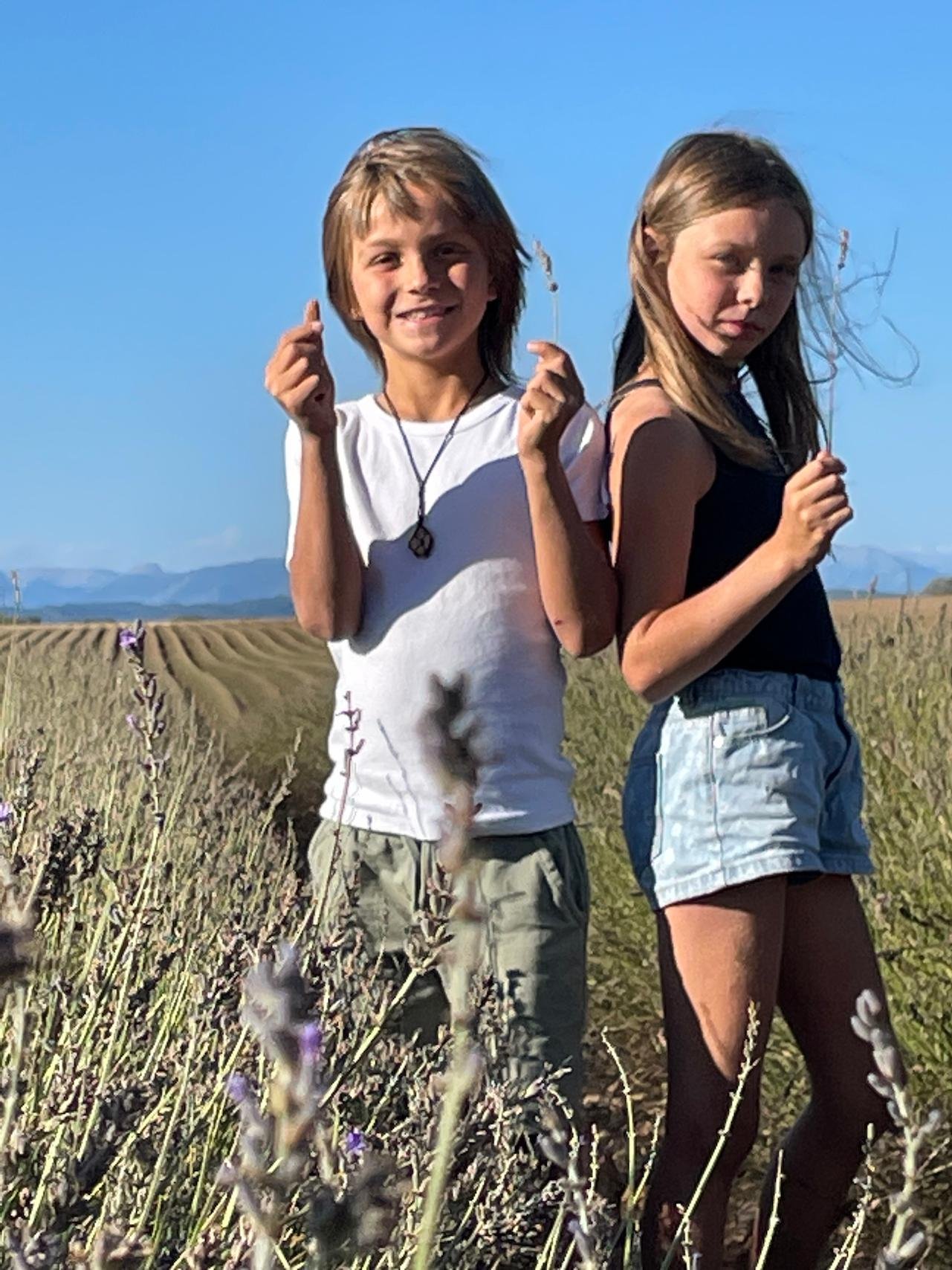 Lavender: Private tour of the lavender fields and Moustiers-Sainte-Marie