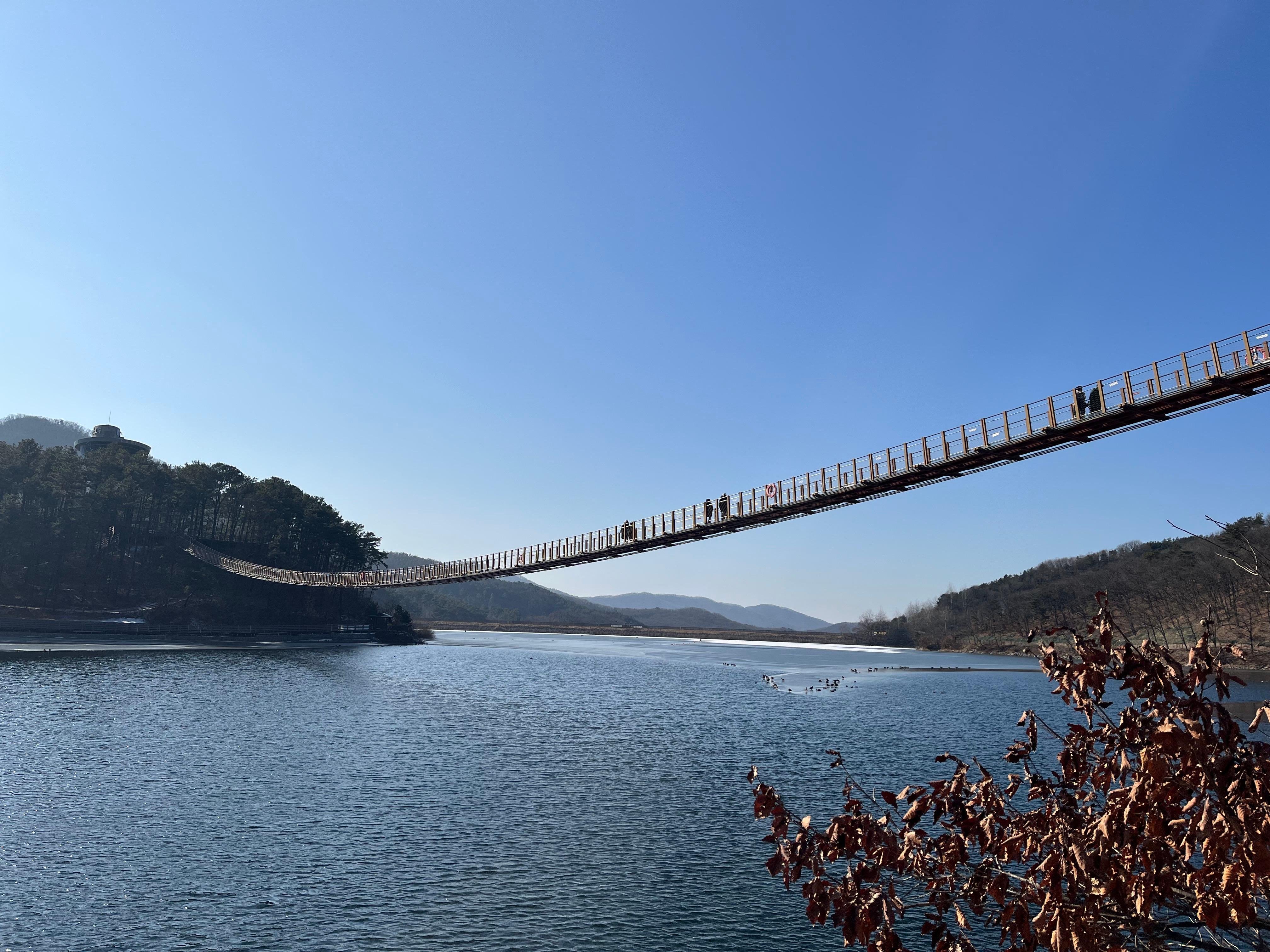 Seoul DMZ Day Tour: 3rd Tunnel, Dora Observatory & North Korean Defector Encounter