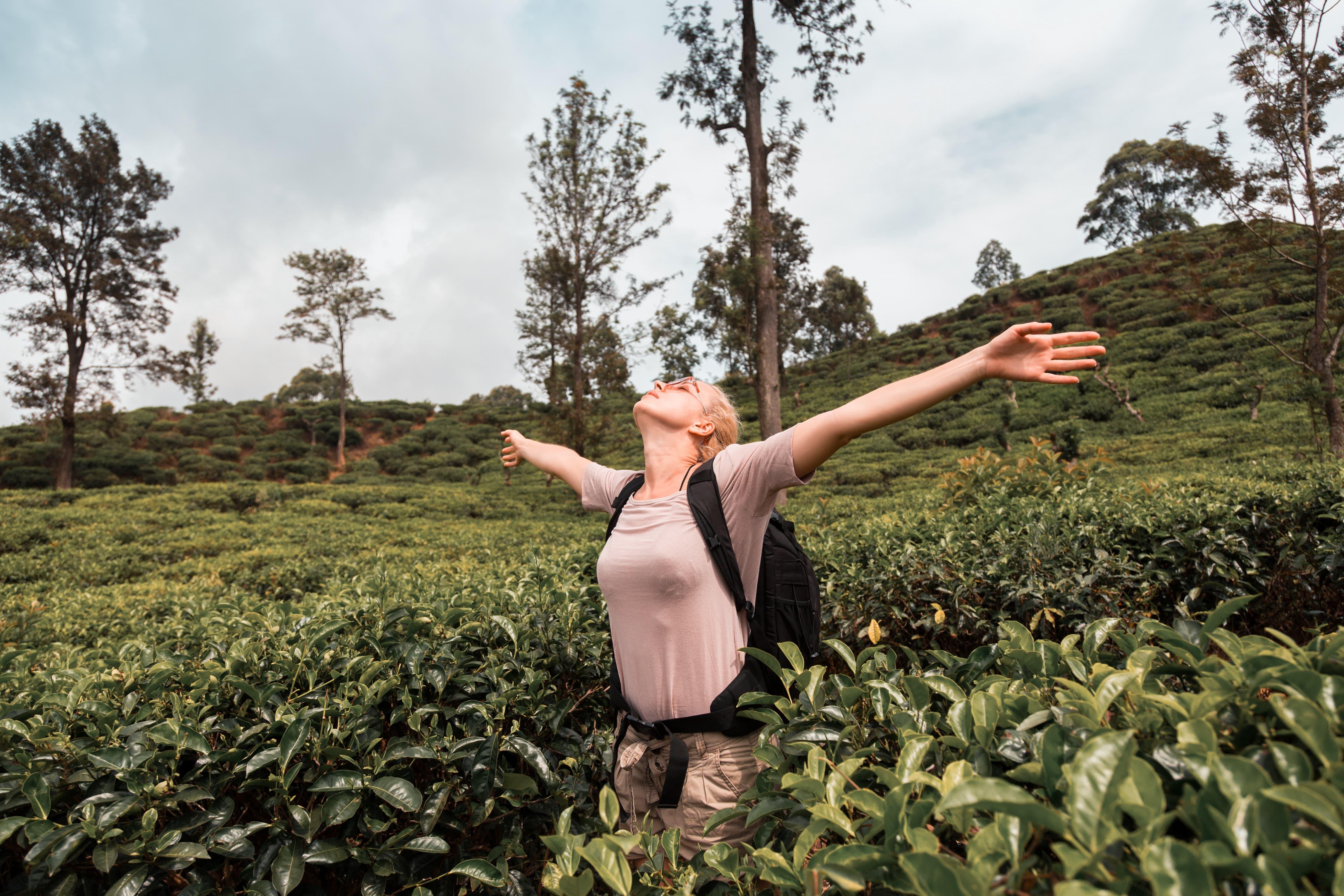 3-Day Sri Lanka Highlights: Sigiriya, Kandy & Ella Train Journey