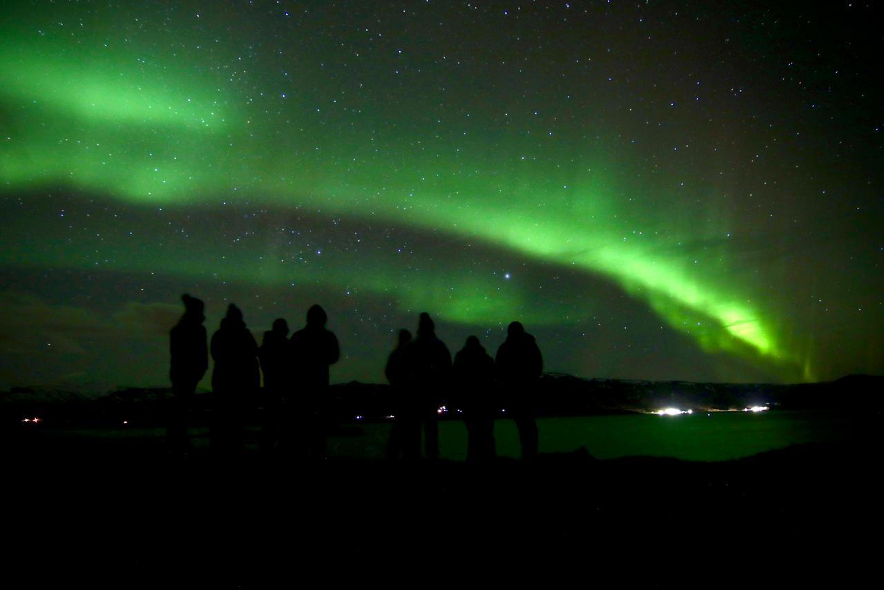 Reykjavik Northern Lights Minibus Hunt with Hot Cocoa