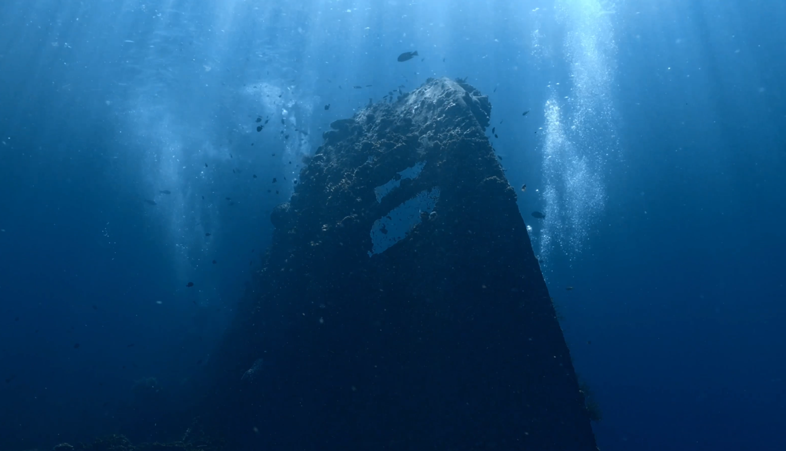 Tulamben Liberty Wreck Dive & Amed Kayak Adventure