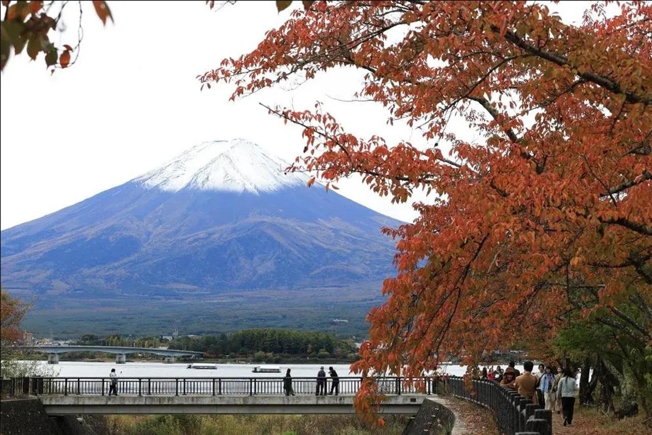 Mt. Fuji Seasonal Discovery: Fruit Picking & Scenic Train Day Tour