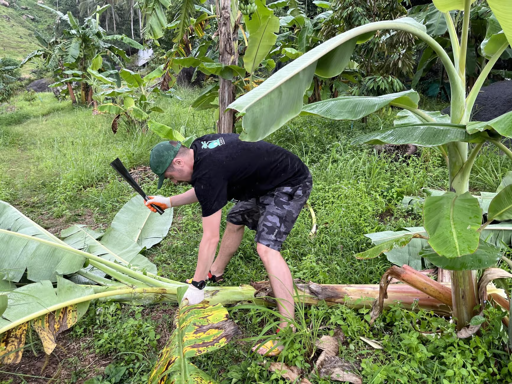 Samui Ethical Elephant Sanctuary Half-Day Experience