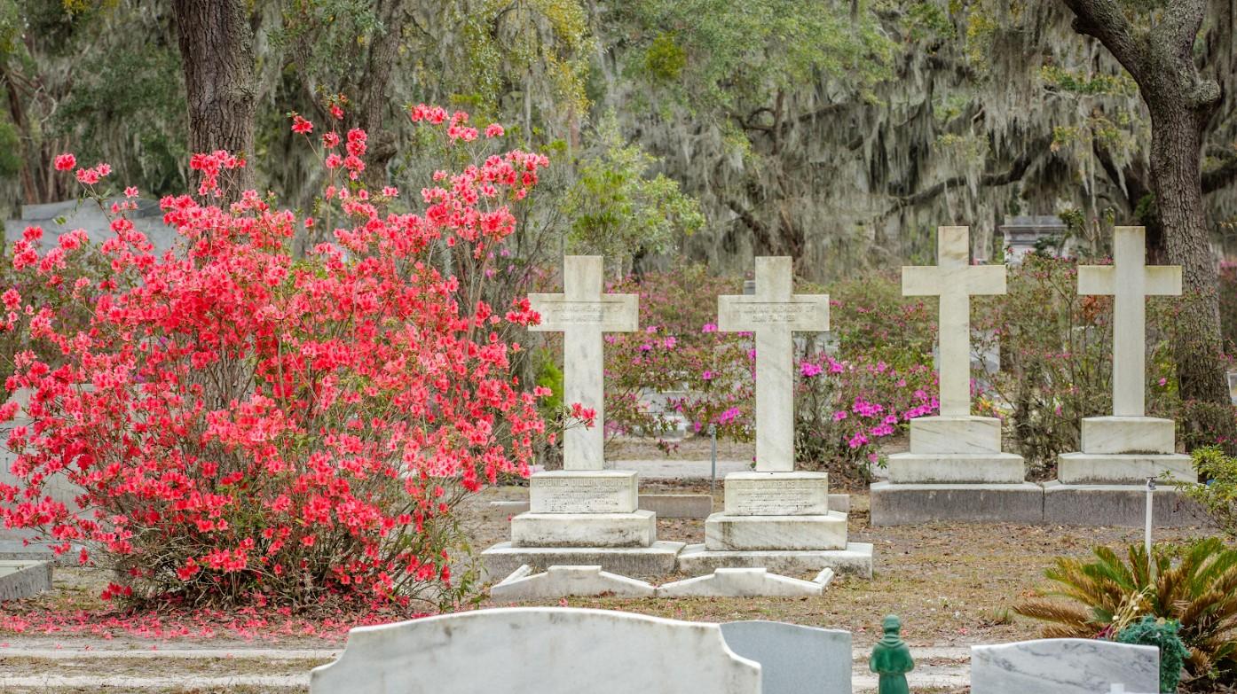 Savannah Georgia — tour experience image 3