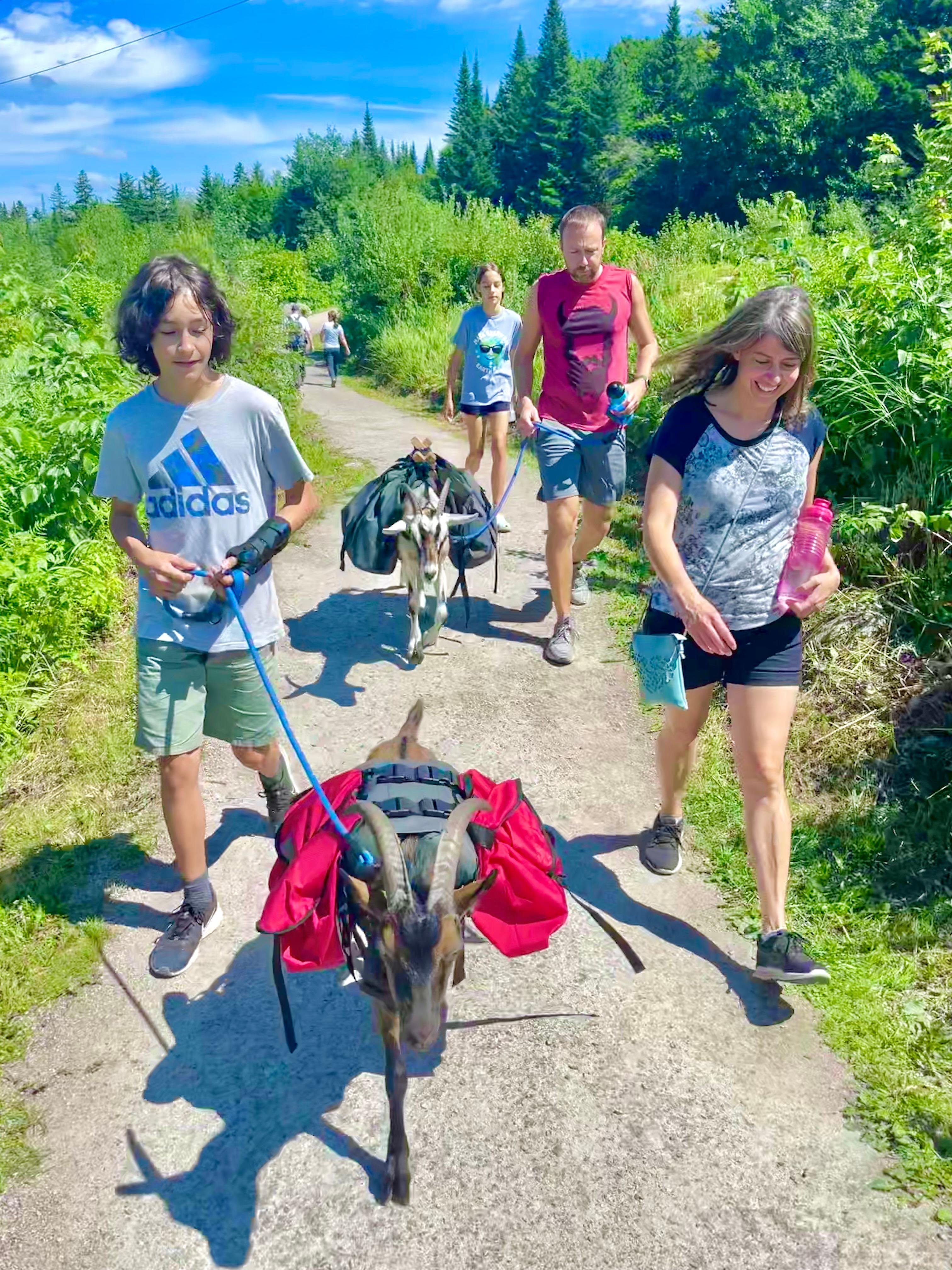 Quebec City Goat Hike & Beaver Dam Picnic Tour