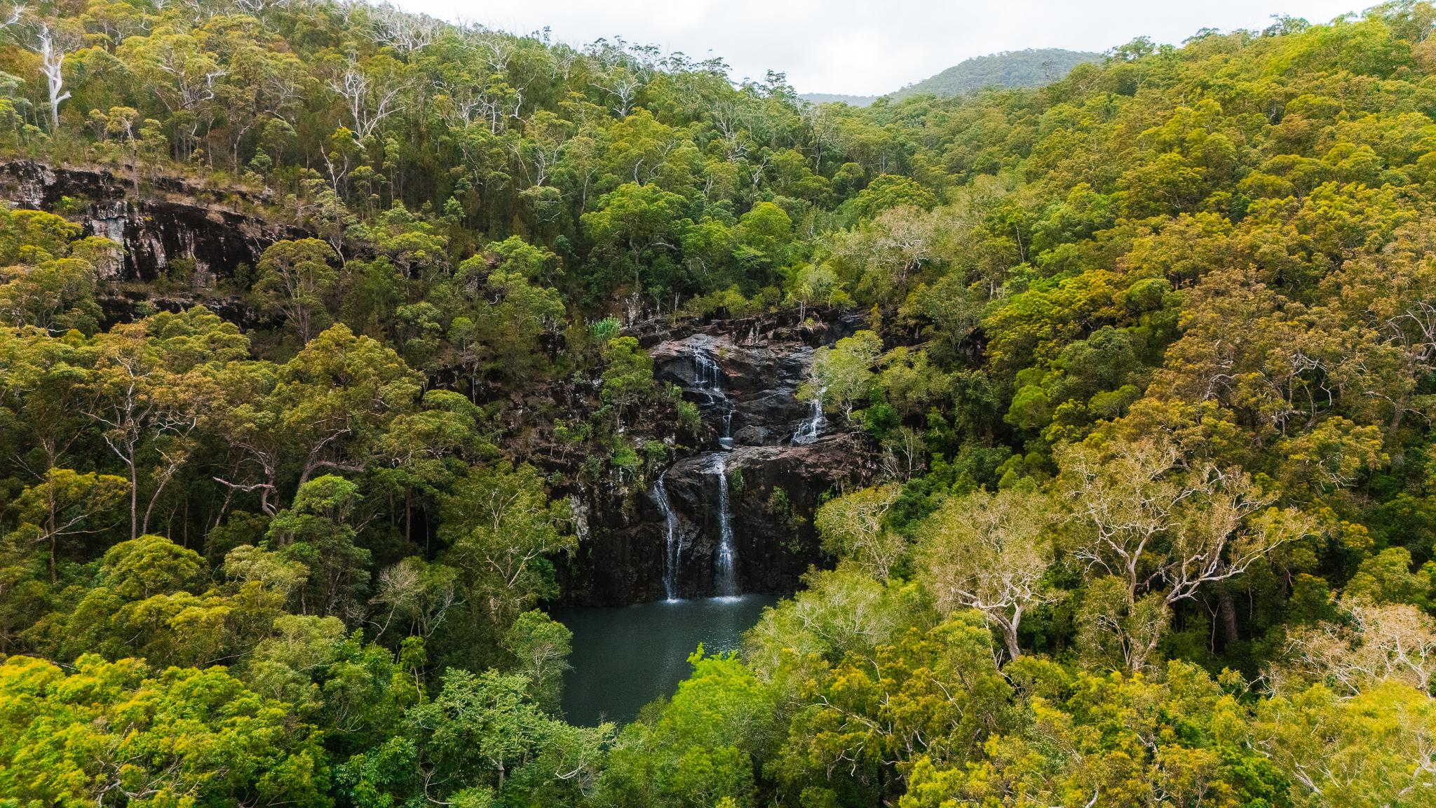 Cedar Creek Falls Eco Tour from Airlie Beach