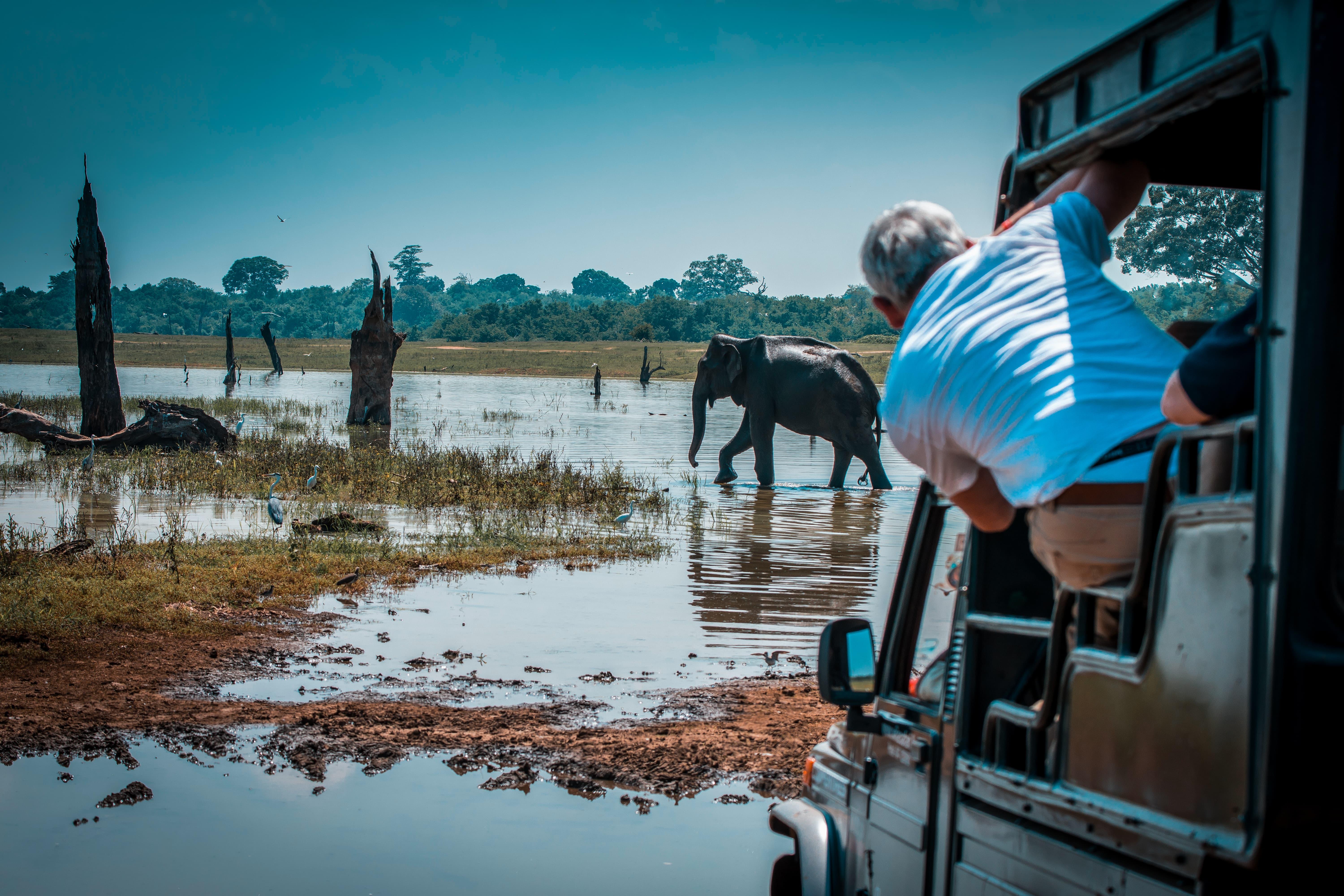 3-Day Sri Lanka Highlights: Sigiriya, Kandy & Ella Train Journey