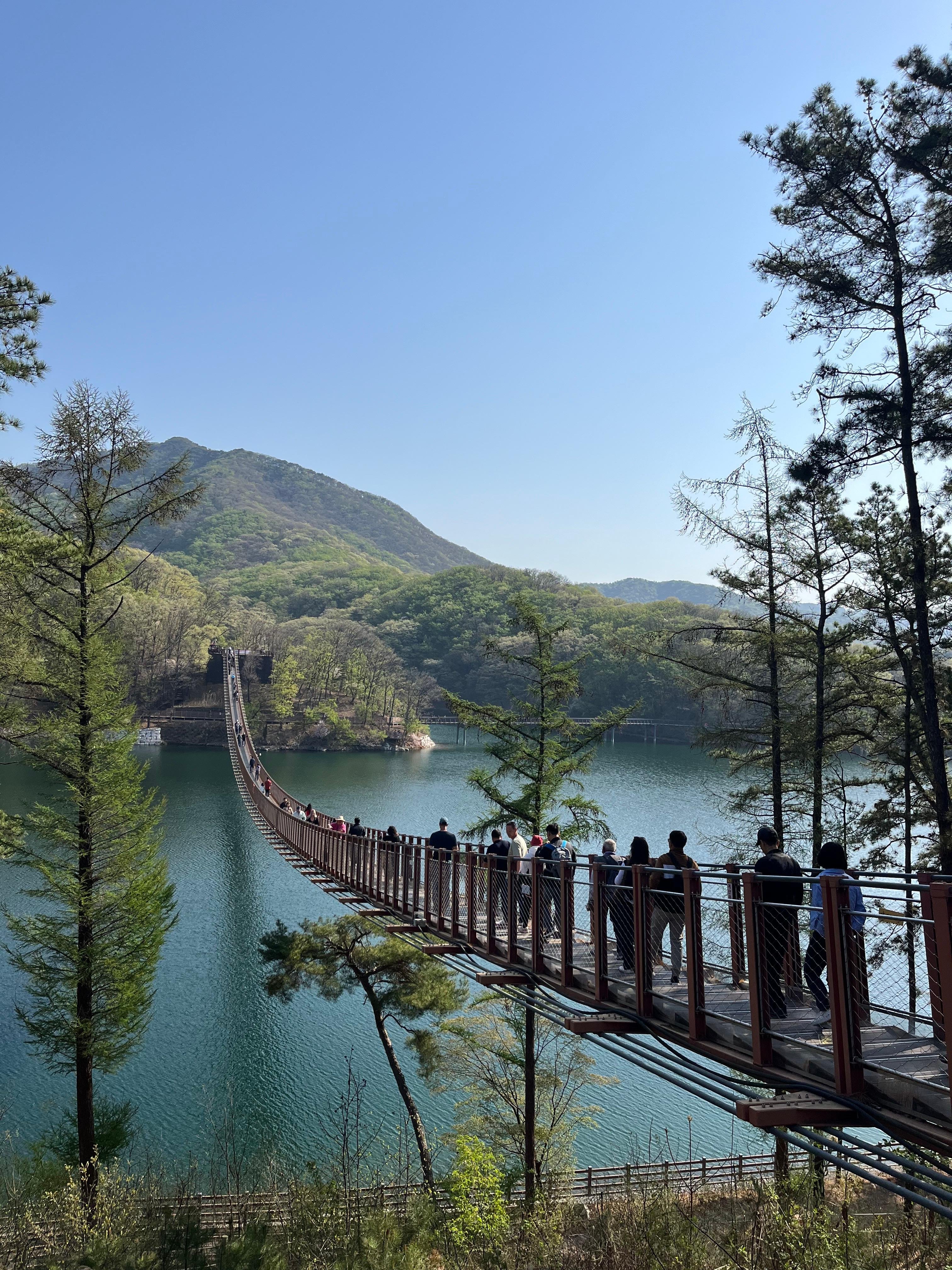 Seoul DMZ Day Tour: 3rd Tunnel, Dora Observatory & North Korean Defector Encounter