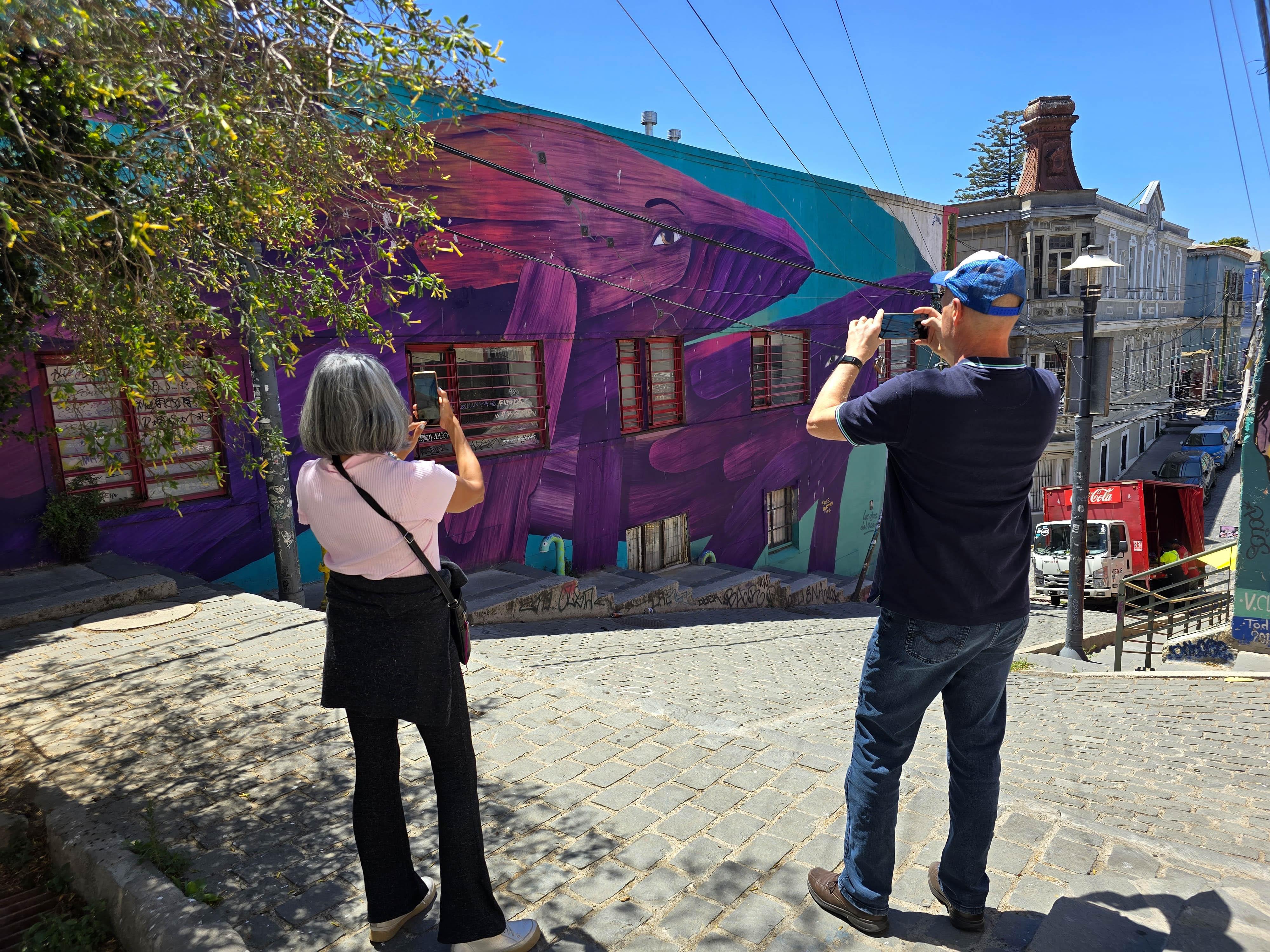 Valparaíso wine tour, the Casablanca Valley and Valparaíso's hills — image 57