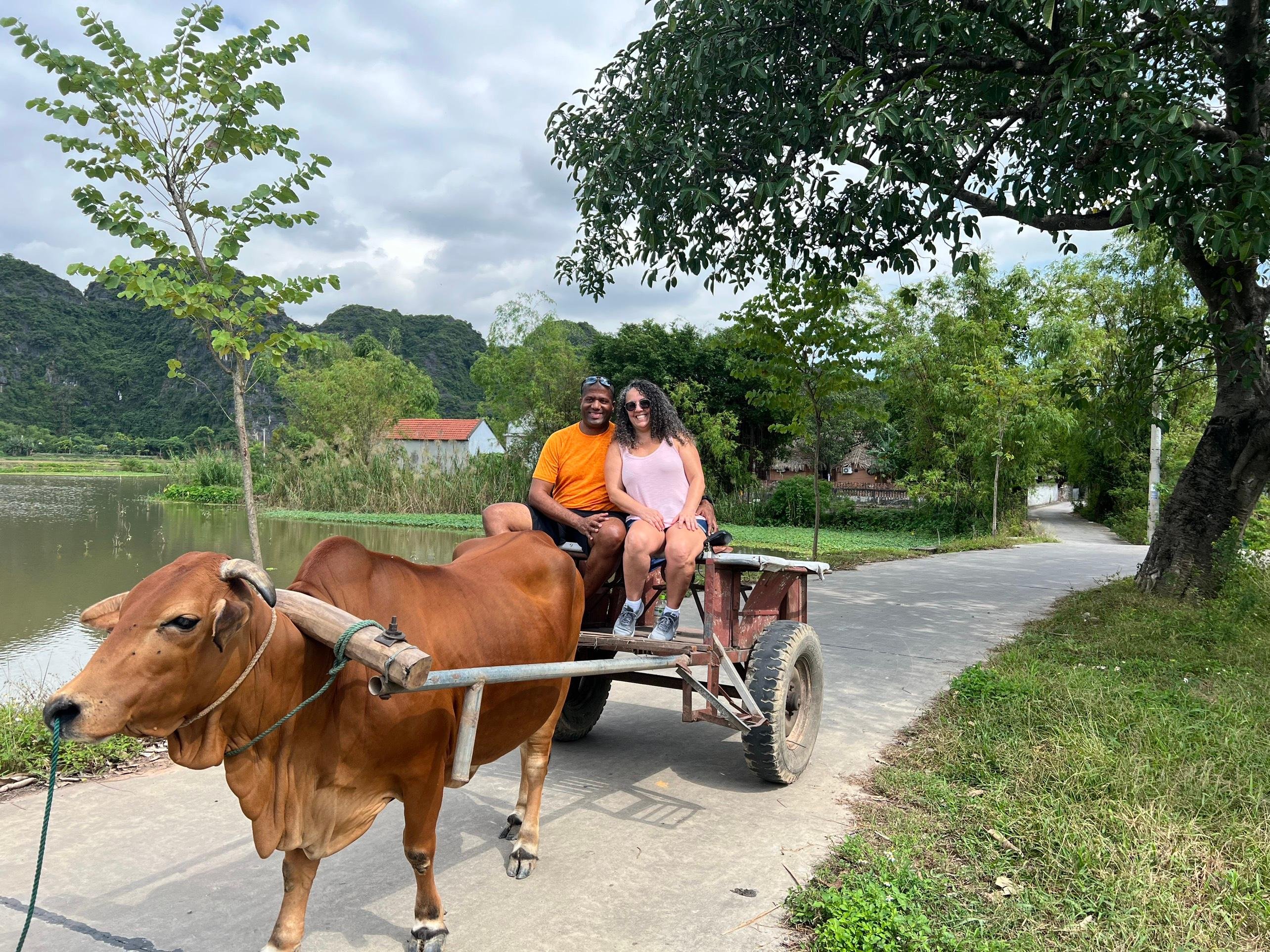 2-Day Ninh Binh Escape from Hanoi: Caves, Cycling & Culture