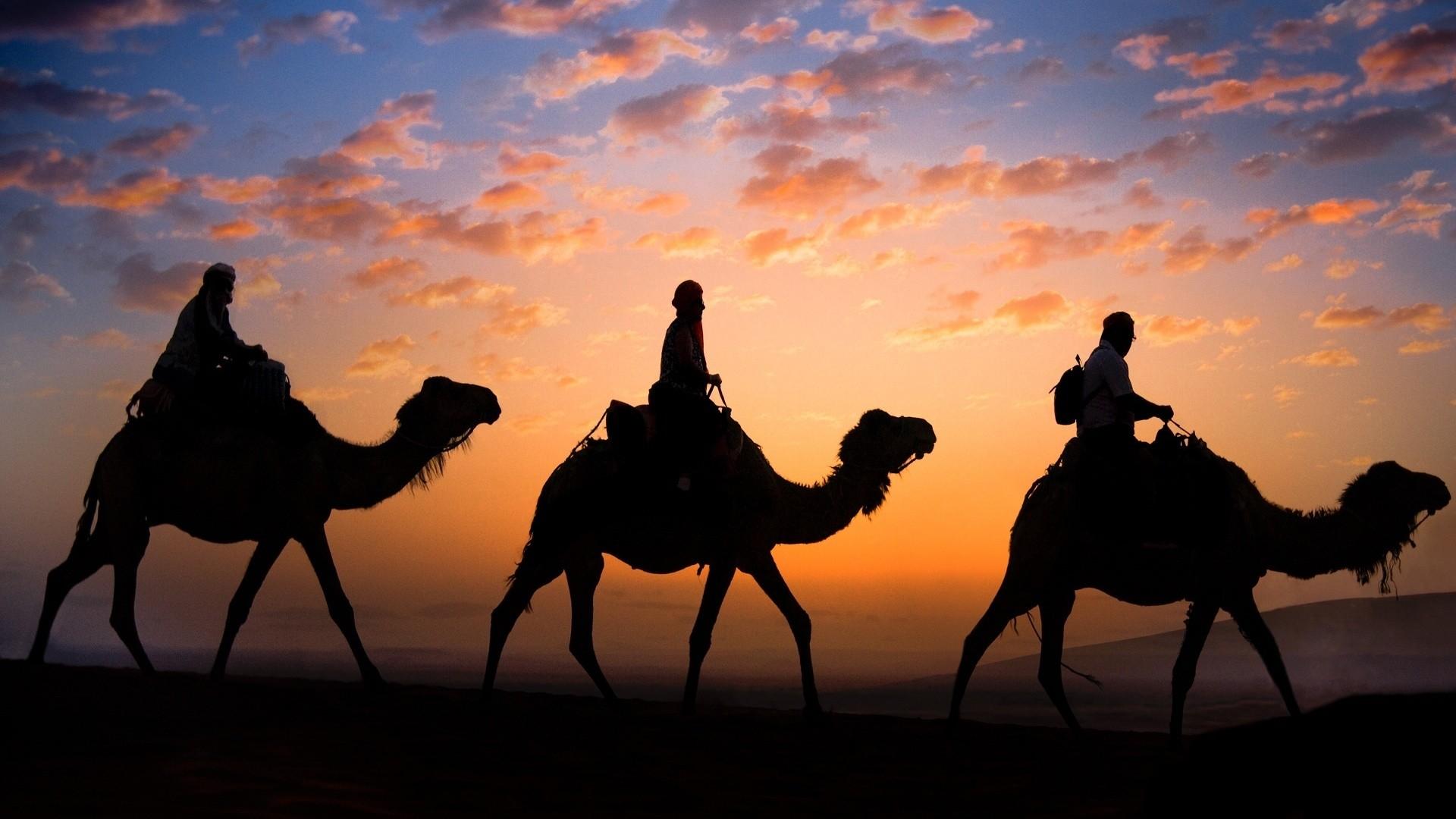 3-Day Zagora Desert Adventure with Camel Trek & Kasbahs