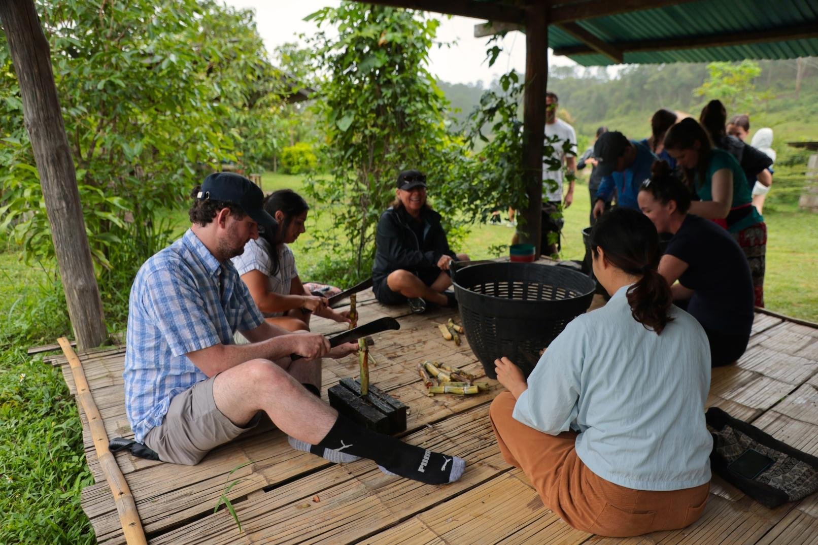 Chiang Mai: Ethical Elephant Tour & Pad Thai Cooking