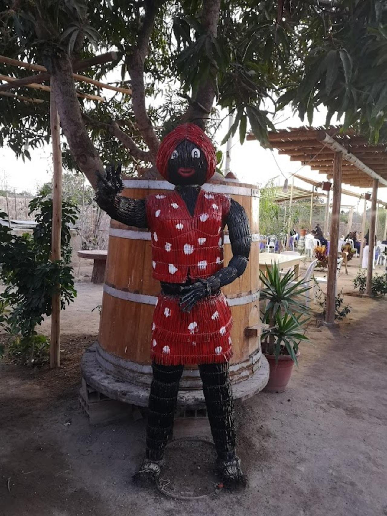 Excursión de un día a Paracas y Huacachina: vida silvestre, aventura en el desierto y cata de vinos