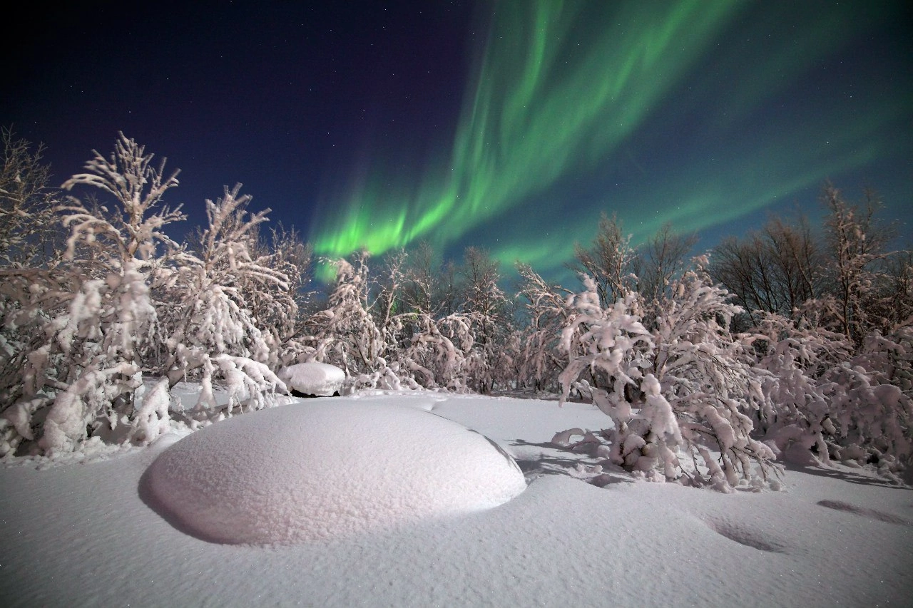 Rovaniemi Northern Lights Hunt with Lakeside BBQ