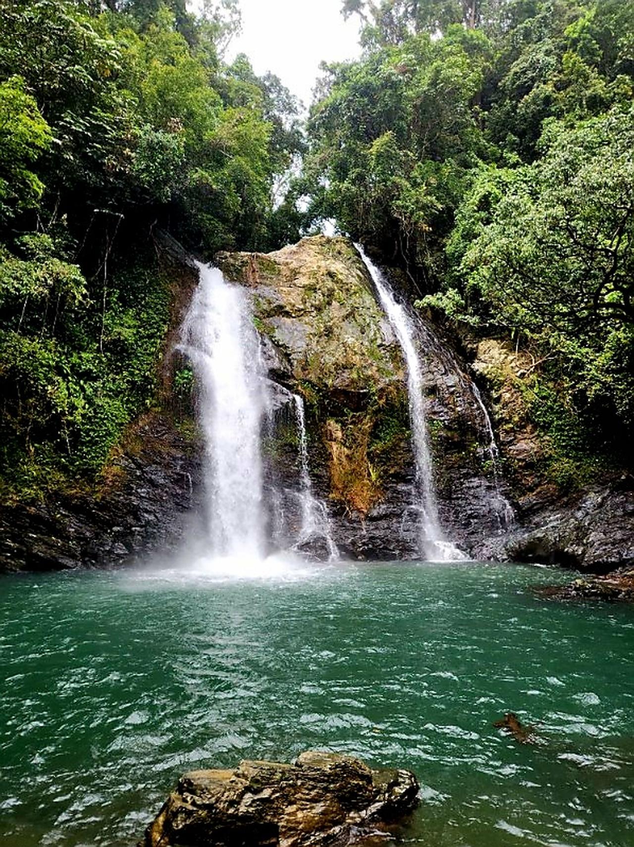 2-Day Atherton Tablelands & Daintree Rainforest Adventure