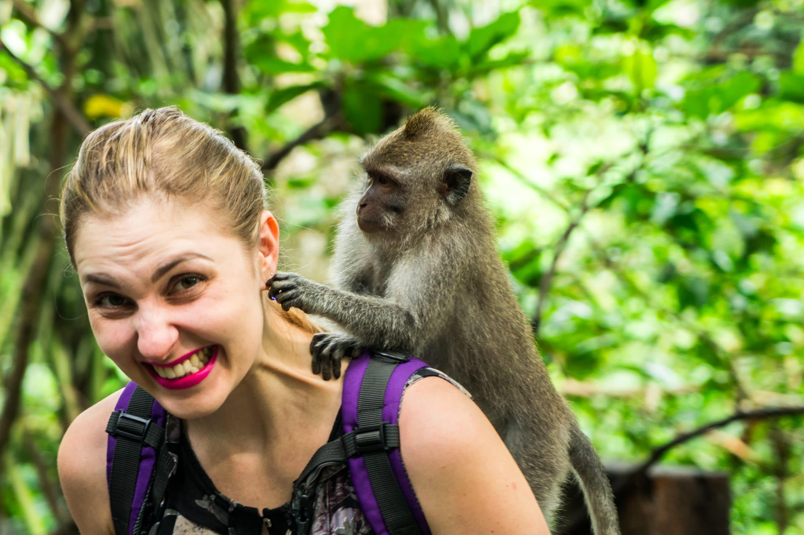 Ubud Private Day Tour: Waterfall, Rice Terraces, Swing & Monkey Forest