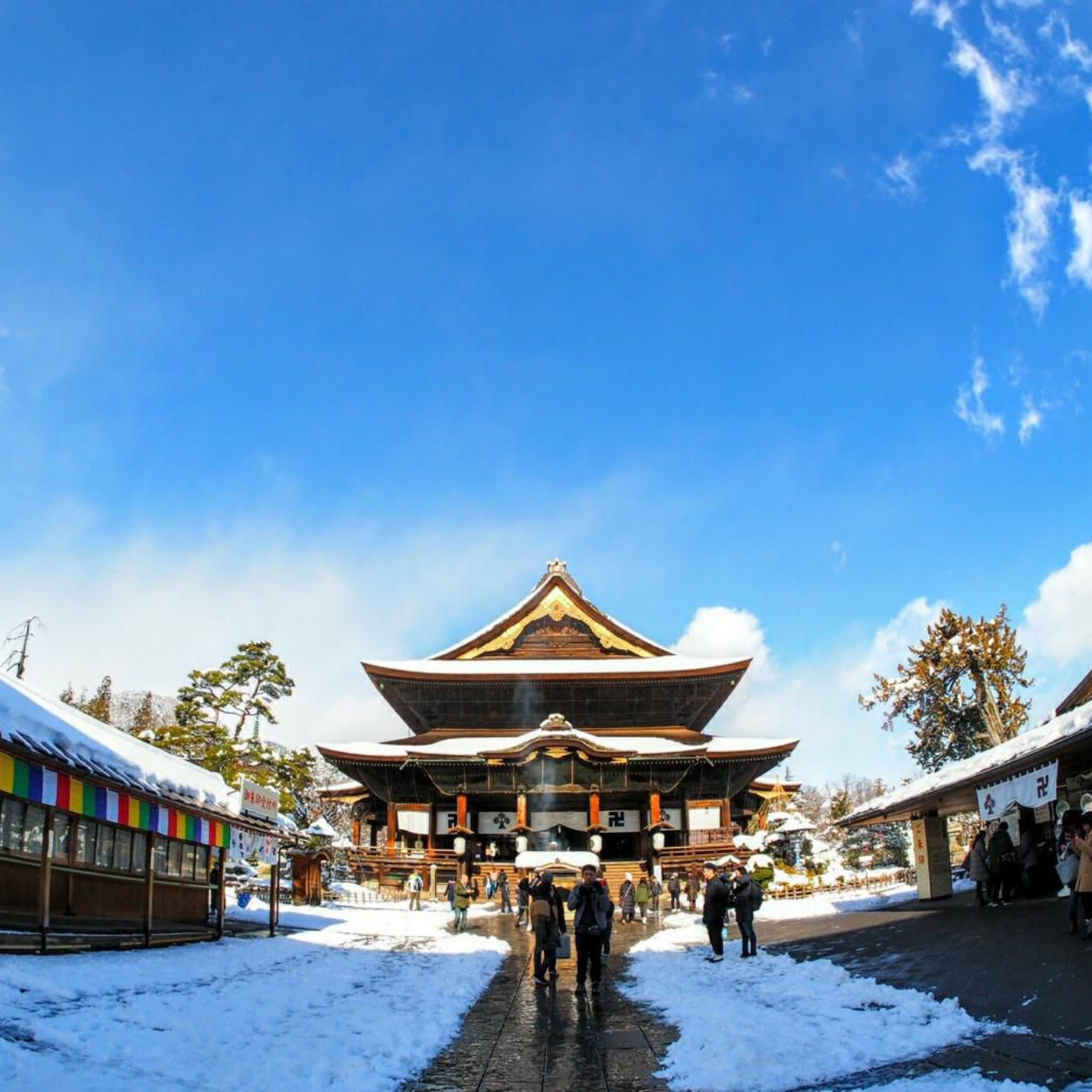 Nagano Snow Monkeys & Temples Private Full-Day Tour from Tokyo or Nagano