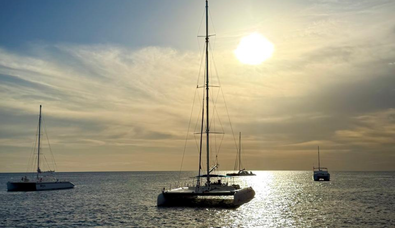 Saona Island Catamaran & Natural Pool Day Trip