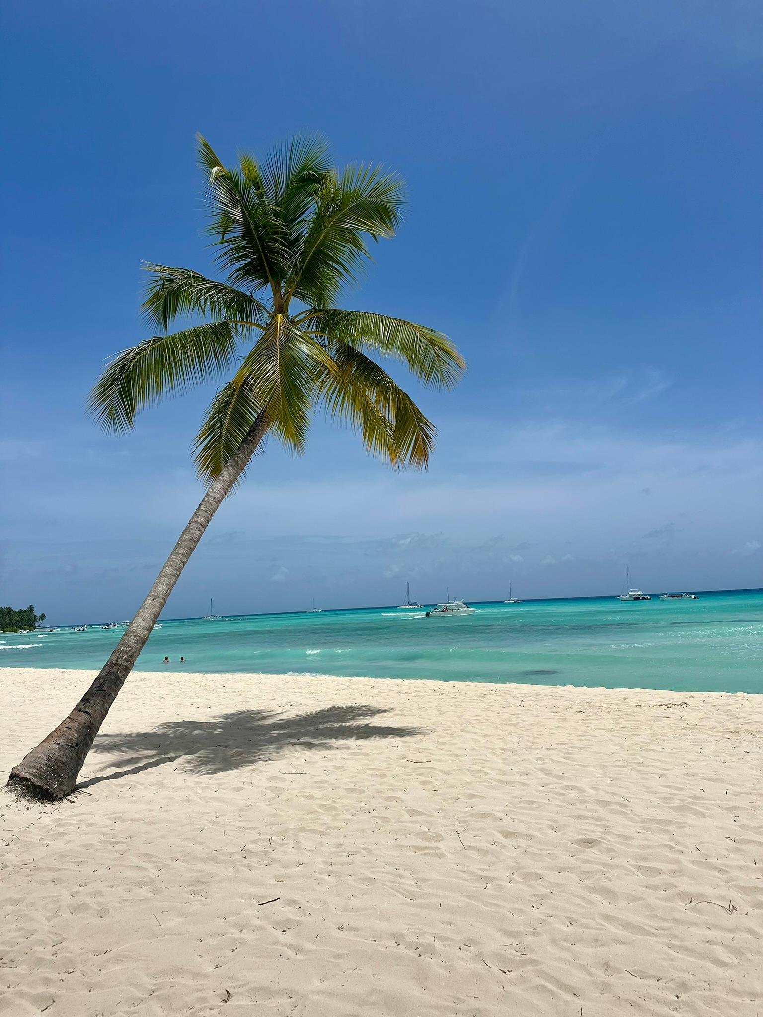 Saona Island VIP Catamaran Experience from Punta Cana