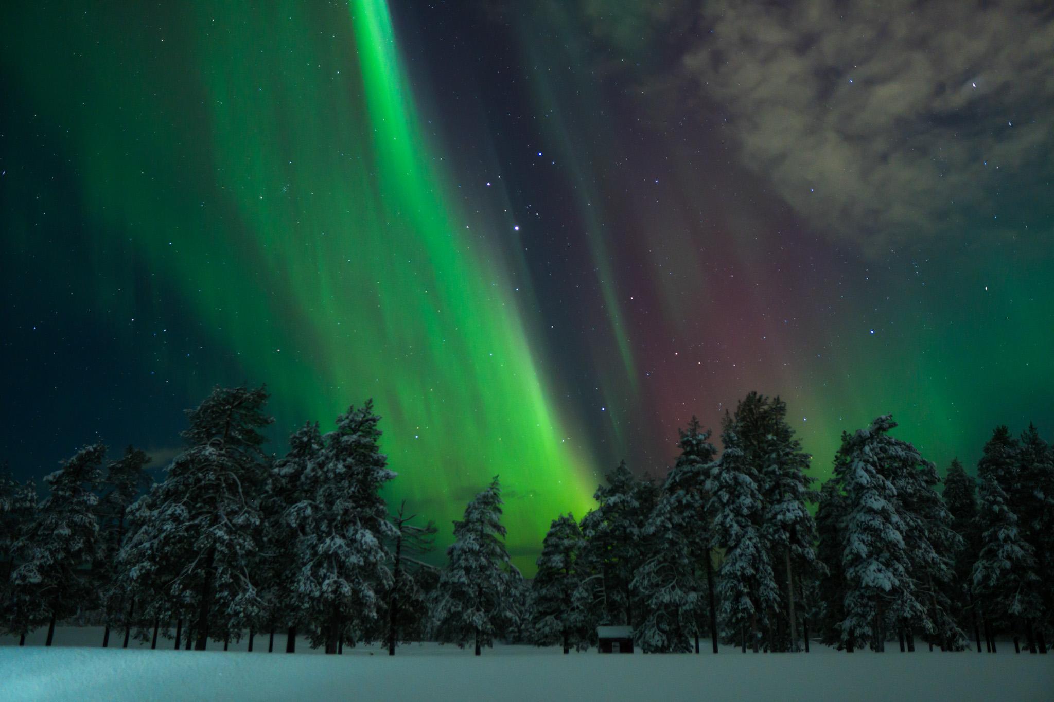 Rovaniemi Arctic Aurora Hunt — Guaranteed Northern Lights