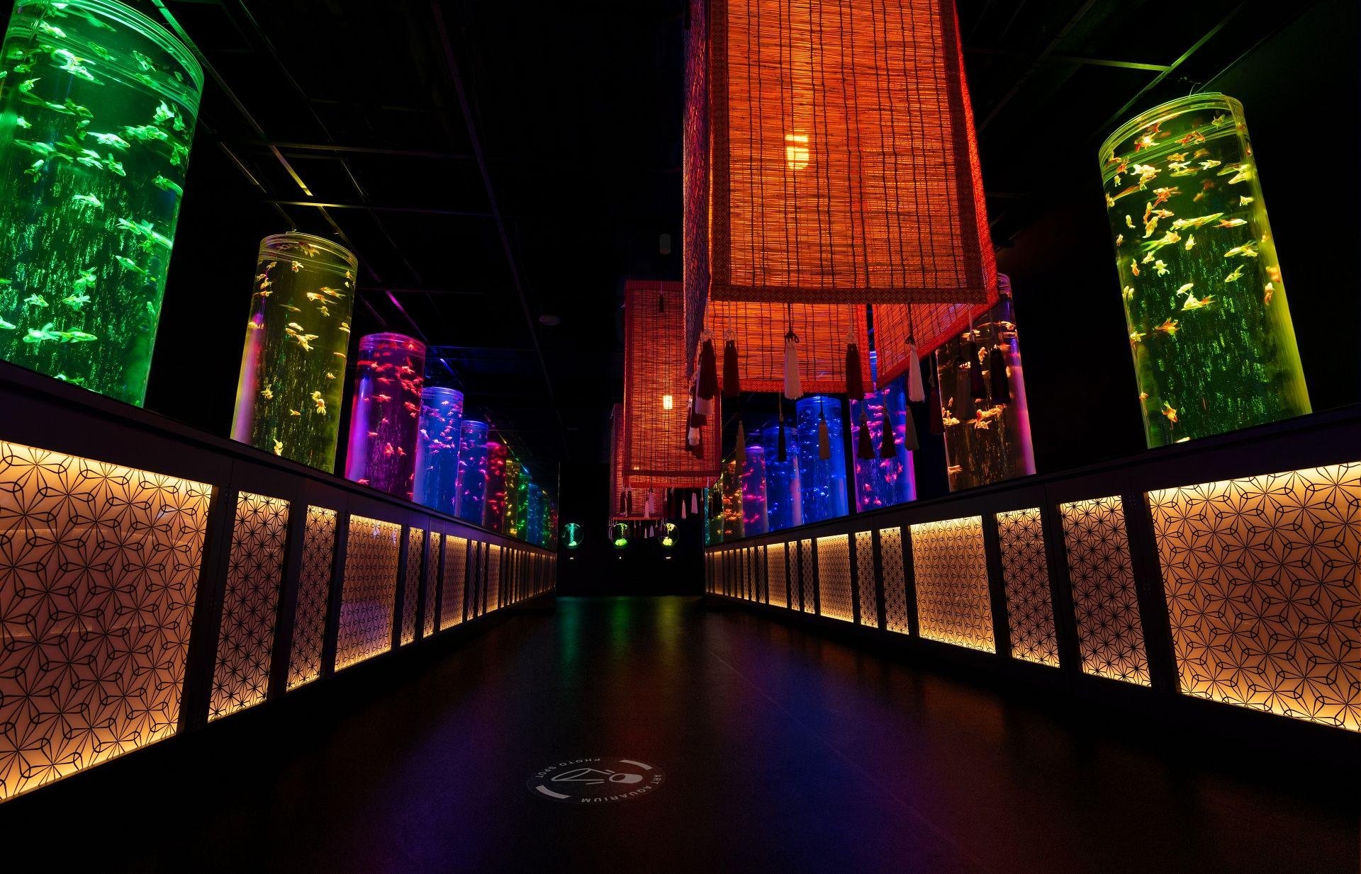 Art Aquarium Museum GINZA Entry Ticket