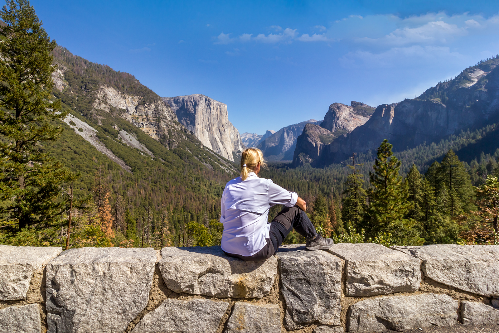 LA: San Francisco, Yosemite, Vegas, Grand Canyon 7-Day Tour