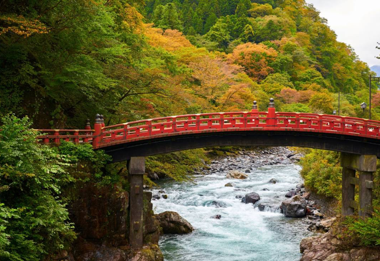 Nikko Private Day Tour from Tokyo with English-Speaking Driver