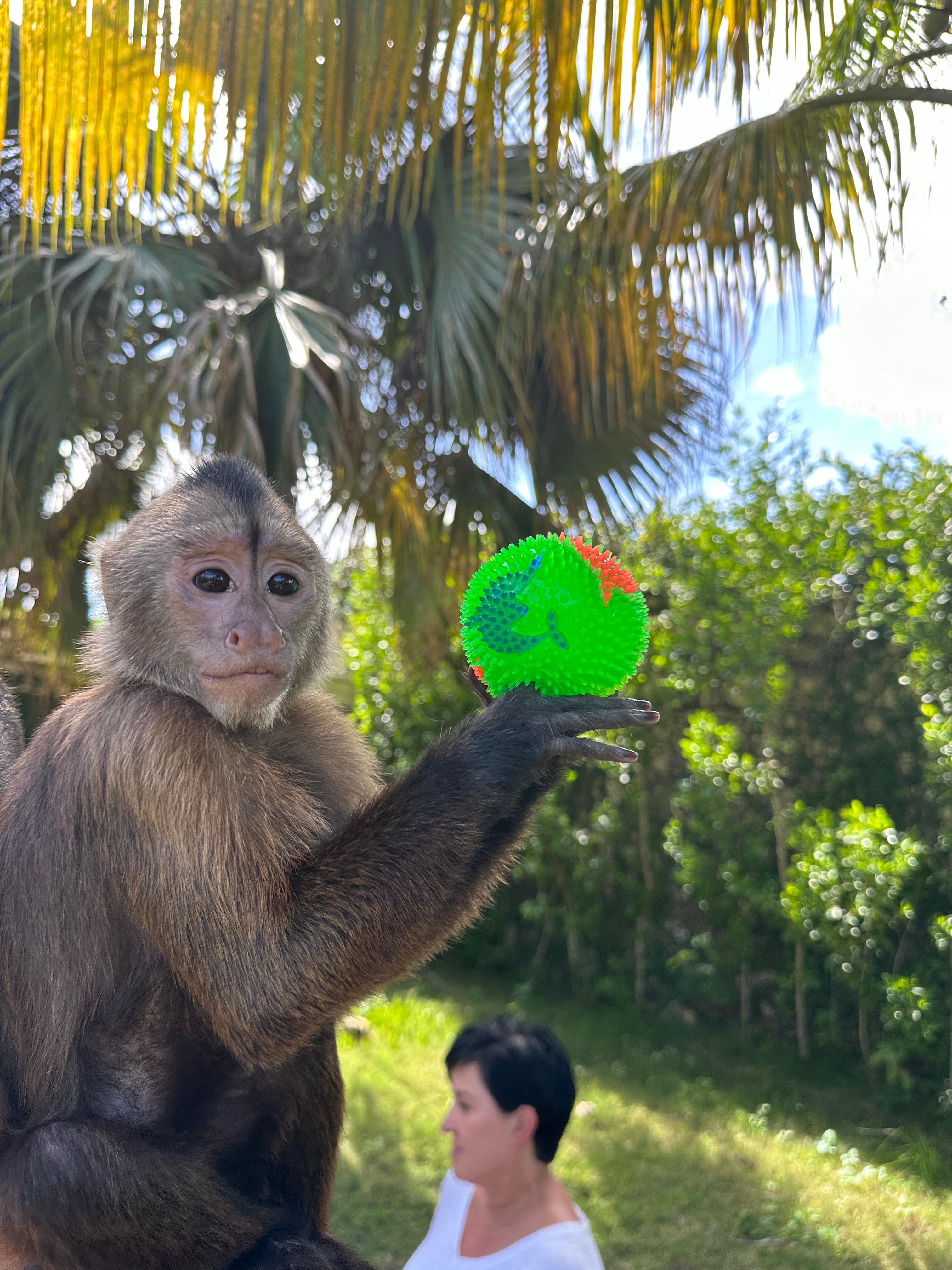 Monkey House VIP – Punta Cana Nature & Wildlife Experience
