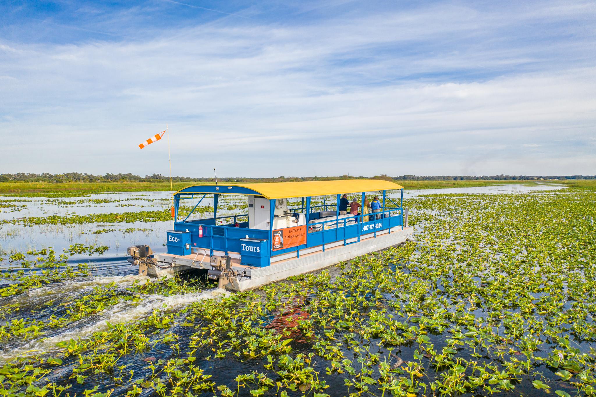 Florida Everglades Pontoon Boat Tour