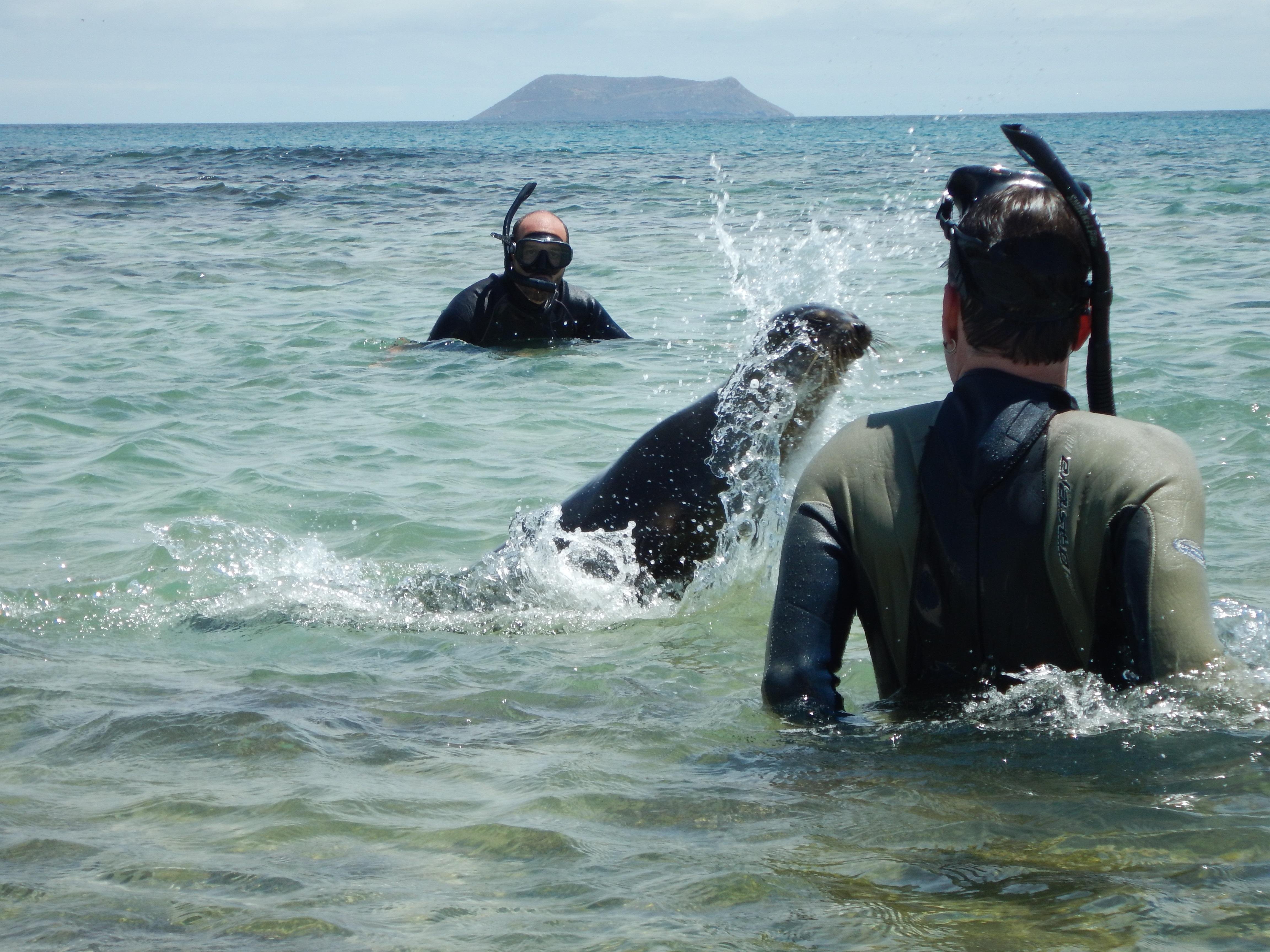 7-Day Galapagos Island Hopping Expedition
