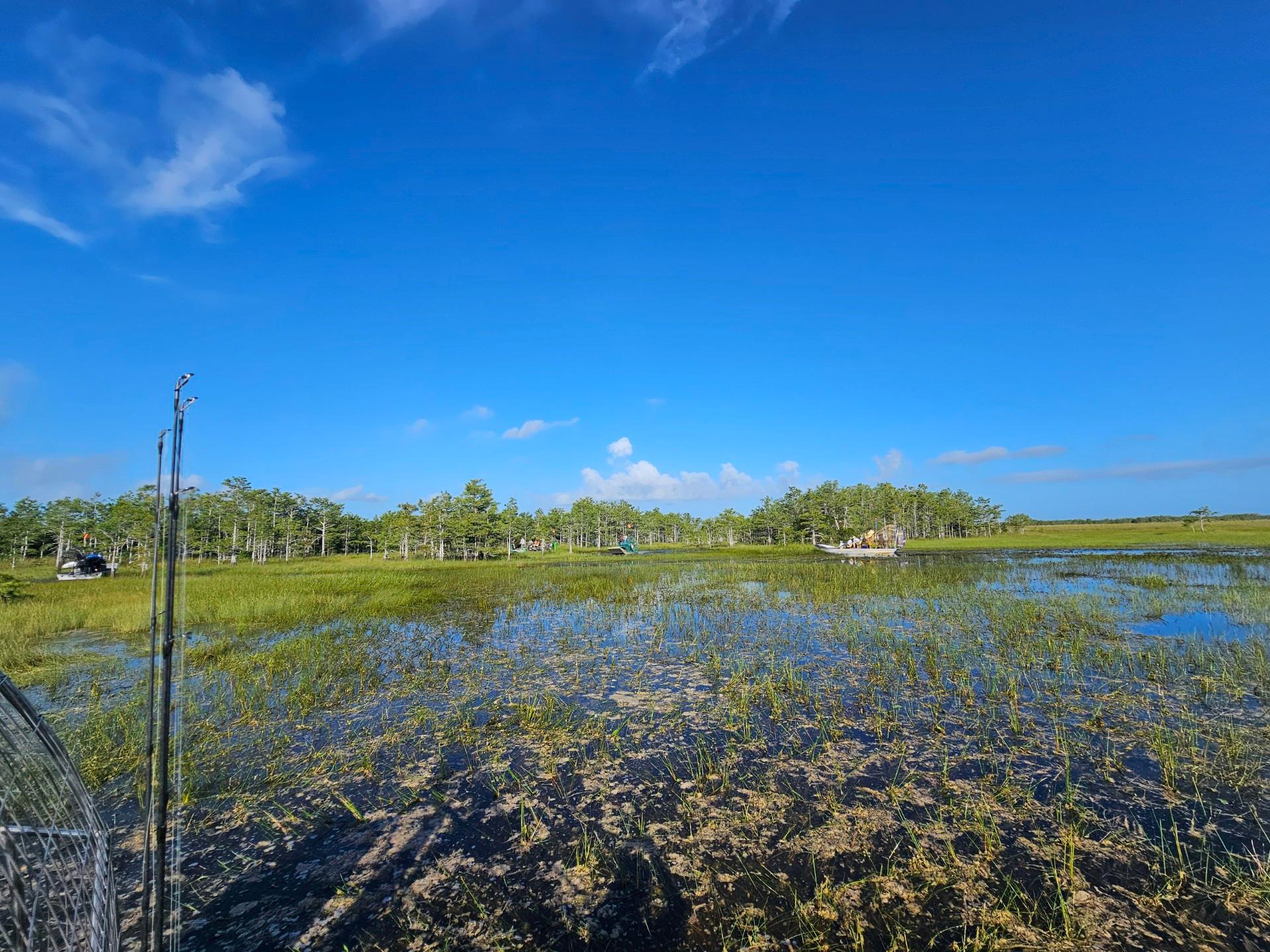 Everglades Airboat Adventure with Miami Transportation