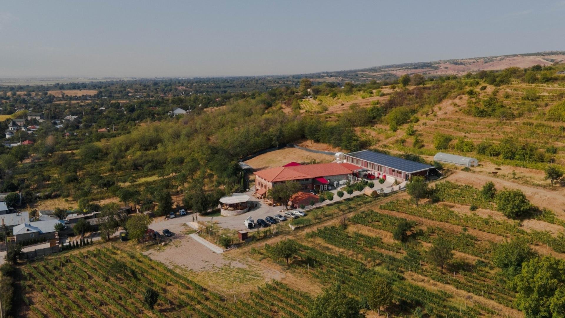 Dealu Mare Wine Experience: Tour, Tasting & Personal Blending