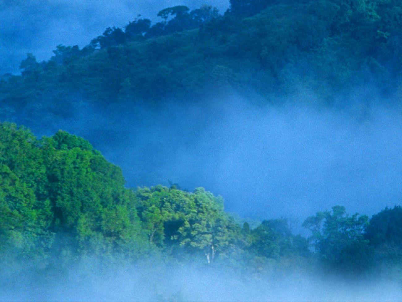 6-Day Kerala Backwaters and Houseboat Private Expedition
