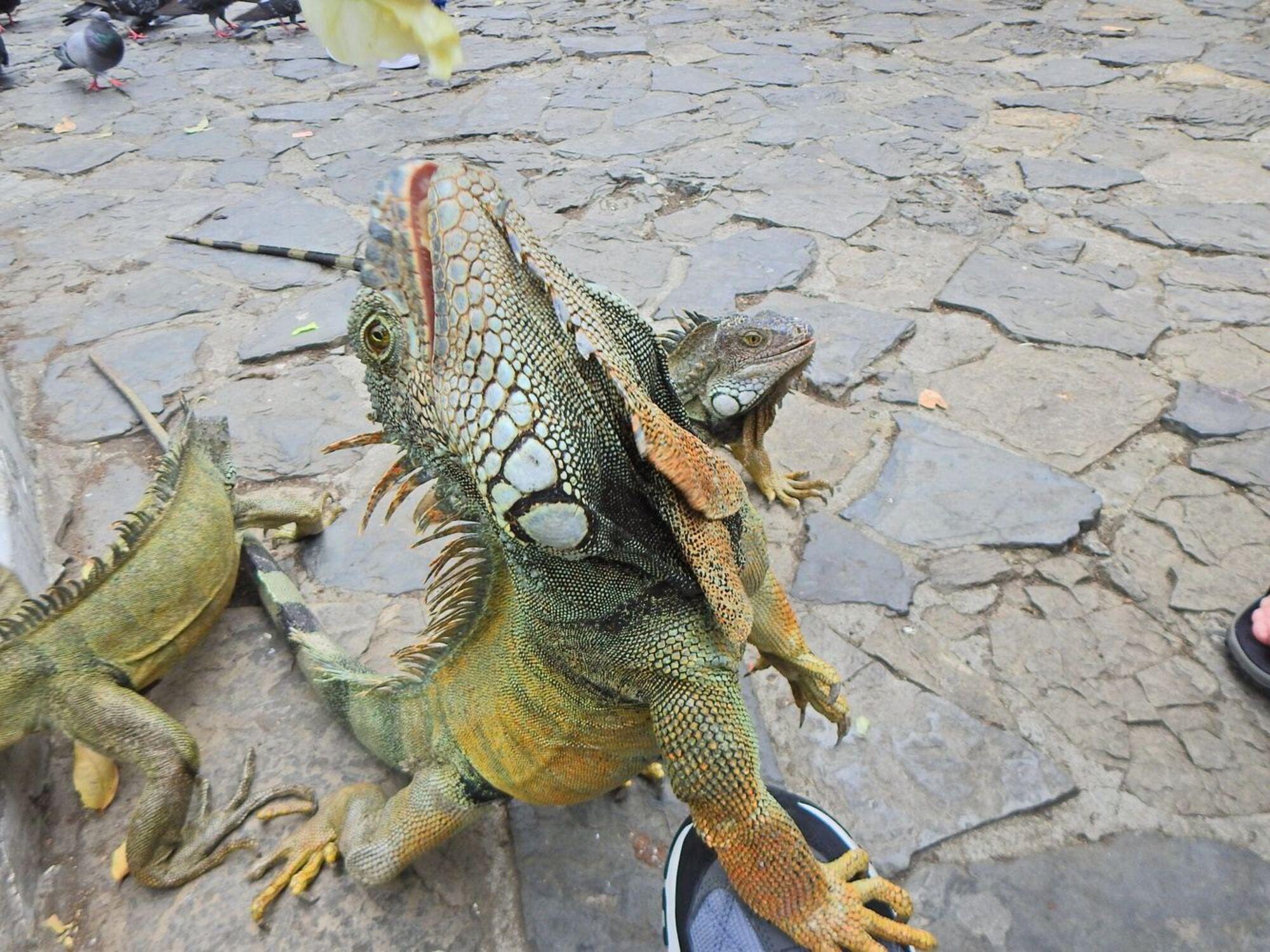 Private Custom Guayaquil Sightseeing Tour