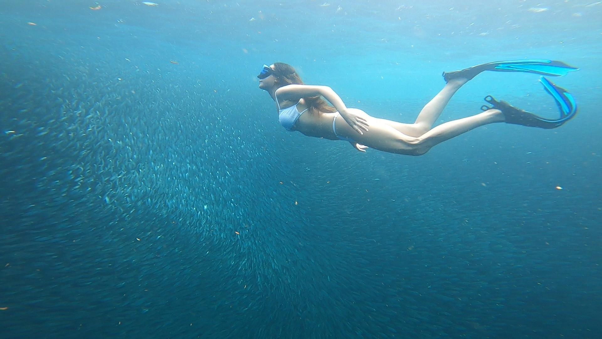 Cebu Full-Day Adventure: Whale Sharks, Kawasan Falls & Moalboal Sardines