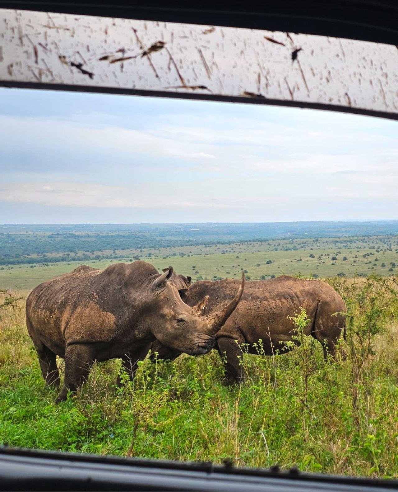 Nairobi National Park Twilight Safari & Sundowner