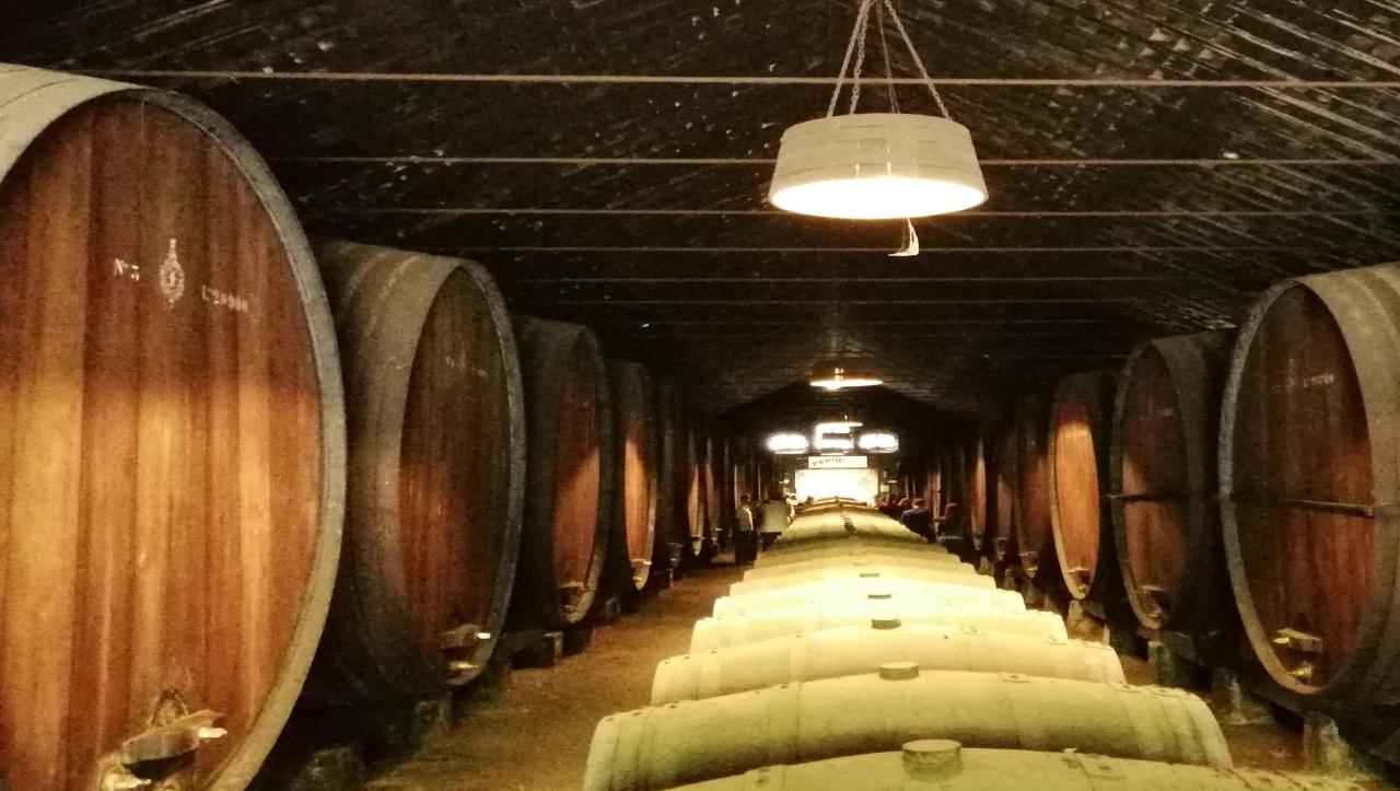 Private Arrábida Tile Workshop & Winery Tour