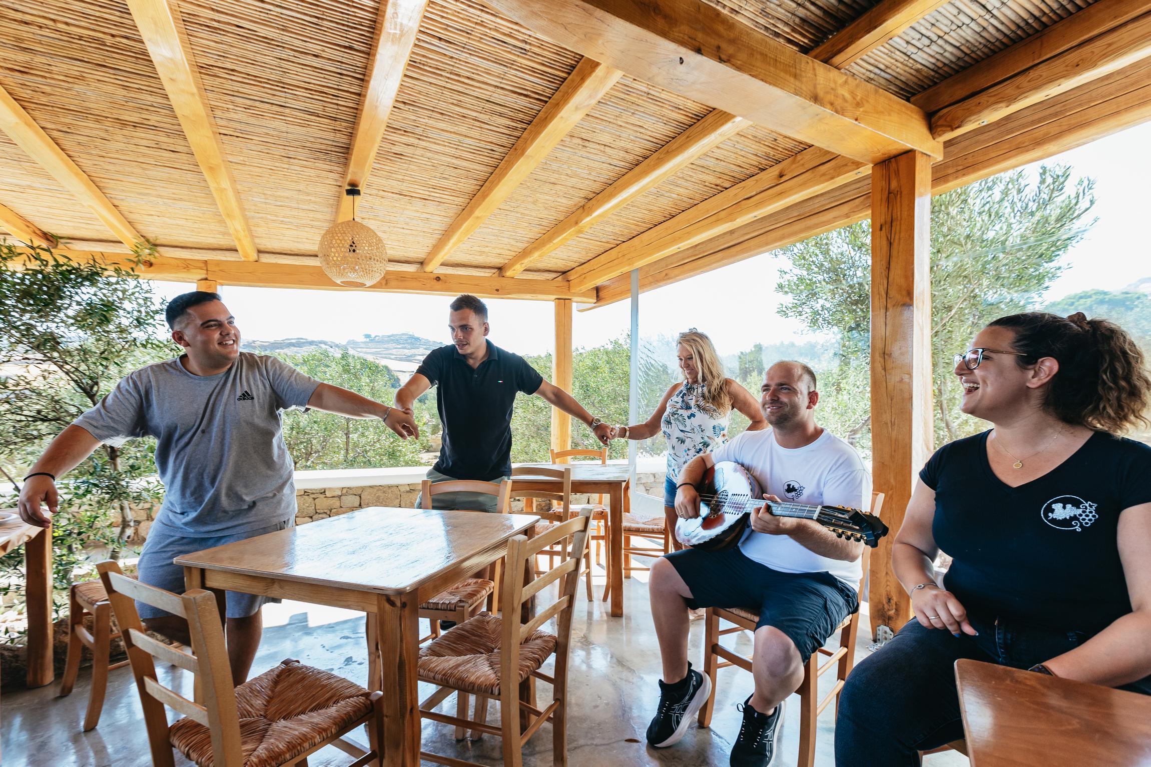 Mykonos Organic Vineyard Tour with Wine and Local Bites