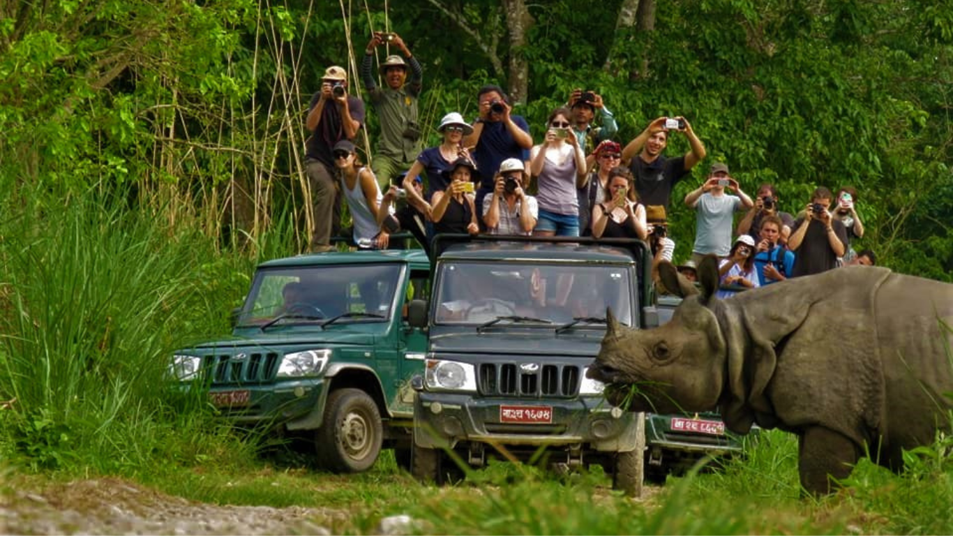 Chitwan National Park 3-Day All-Inclusive Safari from Kathmandu or Pokhara