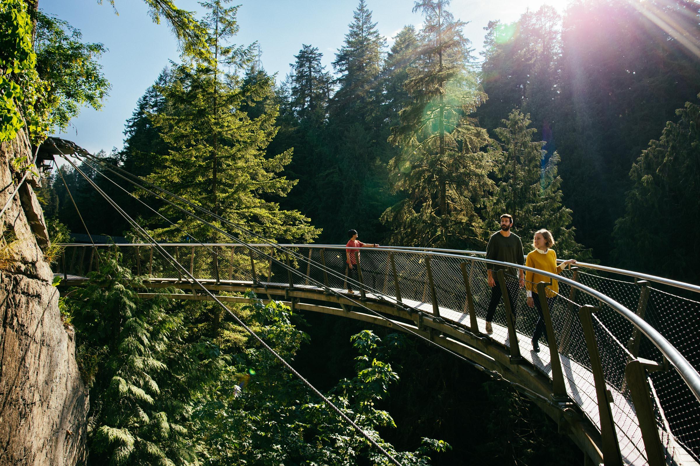 Capilano Canyon Halloween & Vancouver Twilight Private Tour