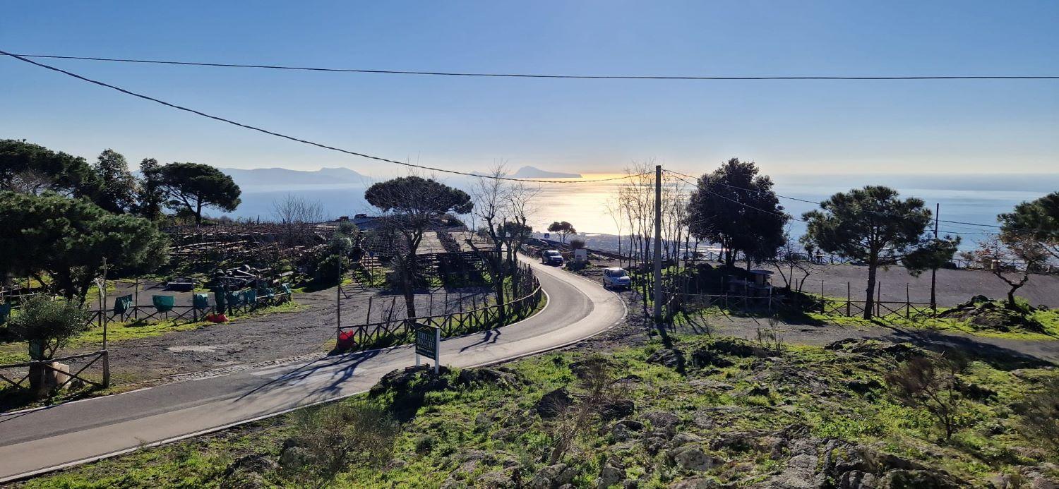 Pompeii & Vesuvius Day Trip from Rome