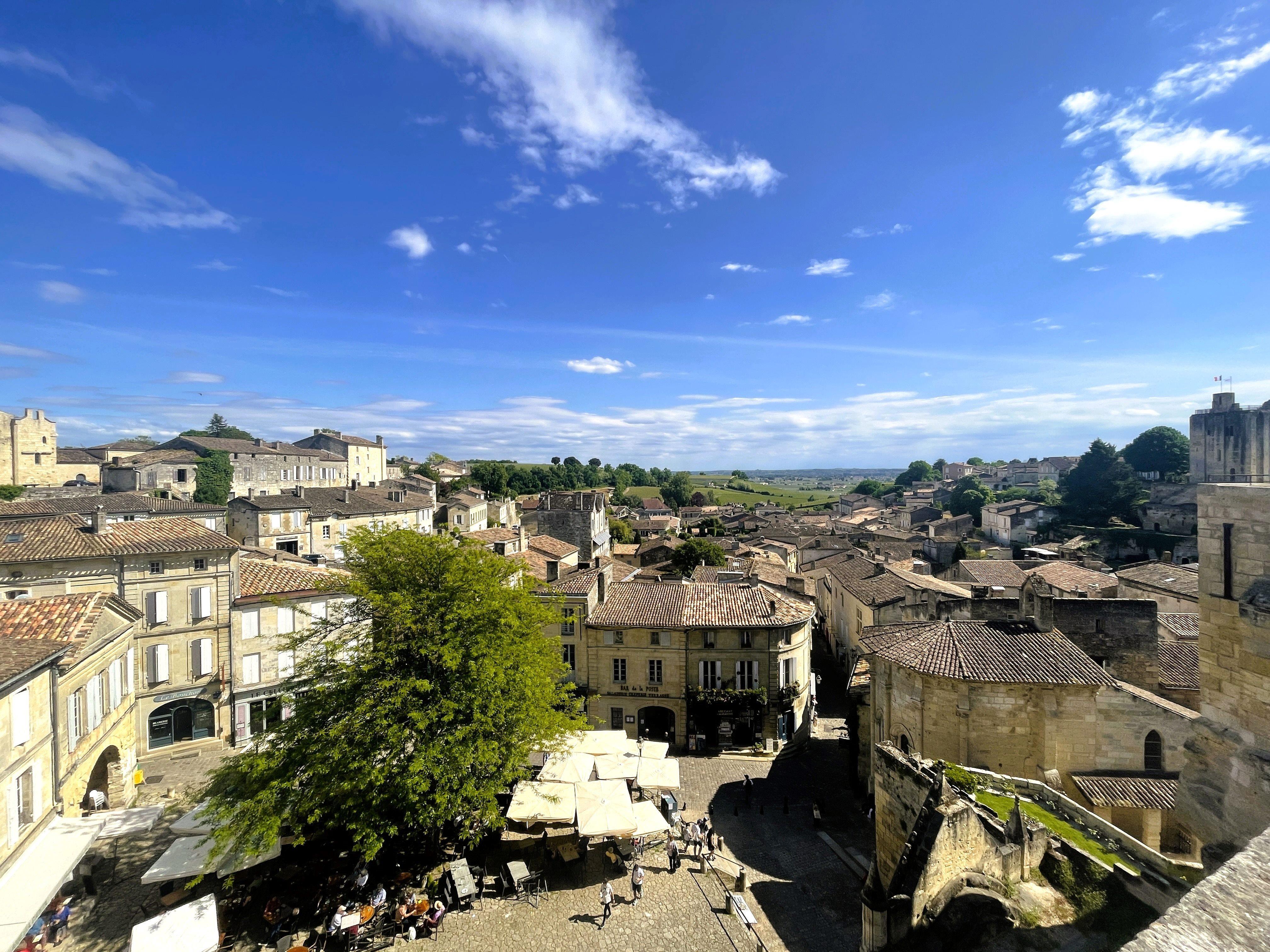 wine tour in Bordeaux — photo 9