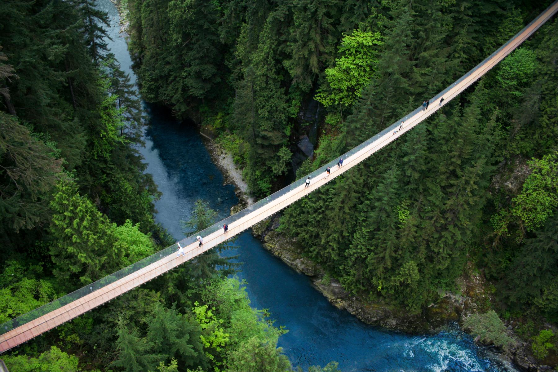 Capilano Suspension Bridge Park – Entry Ticket