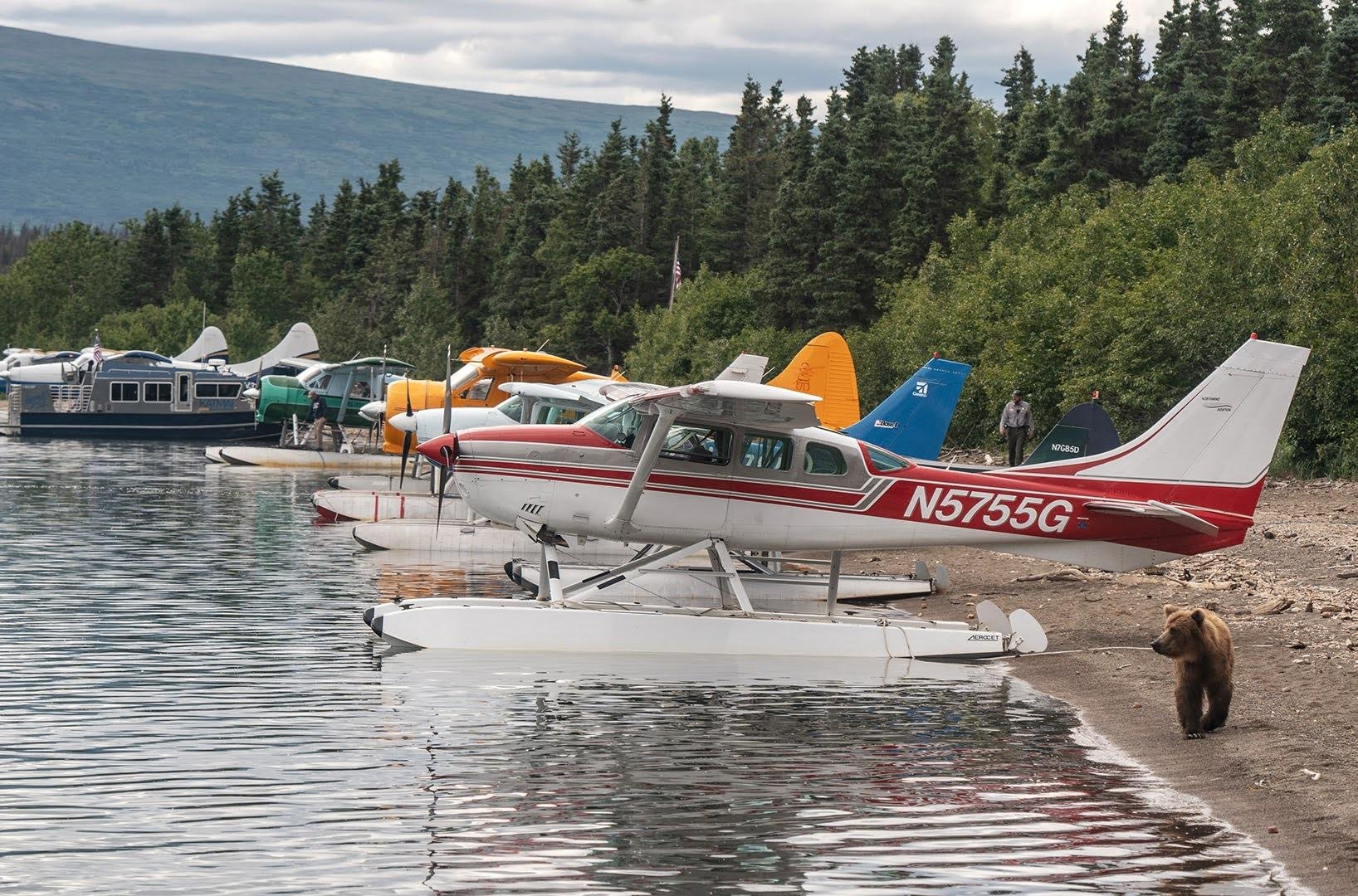 Brooks Falls Bear Viewing by Floatplane