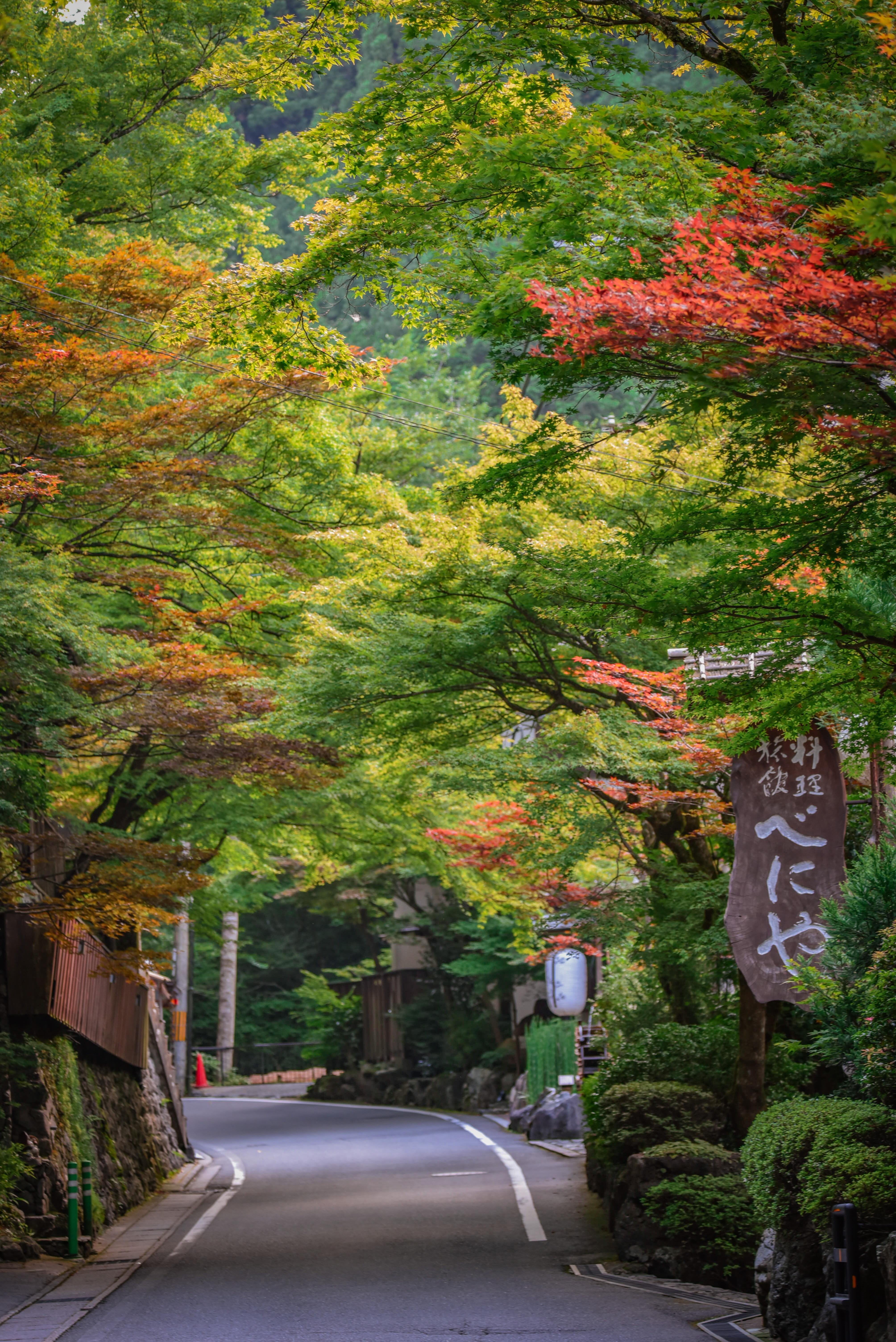 Kyoto Private Day Tour with Guide & Vehicle